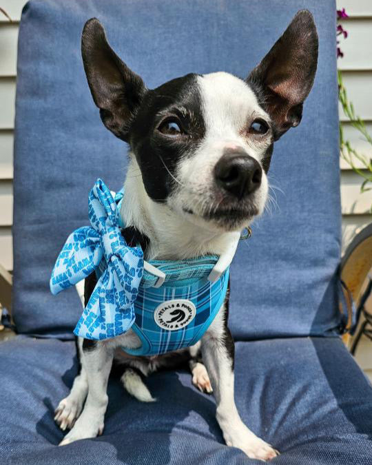 Coastal Plaid Adjustable Harness