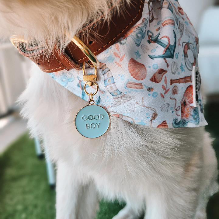 Good Boy Charm