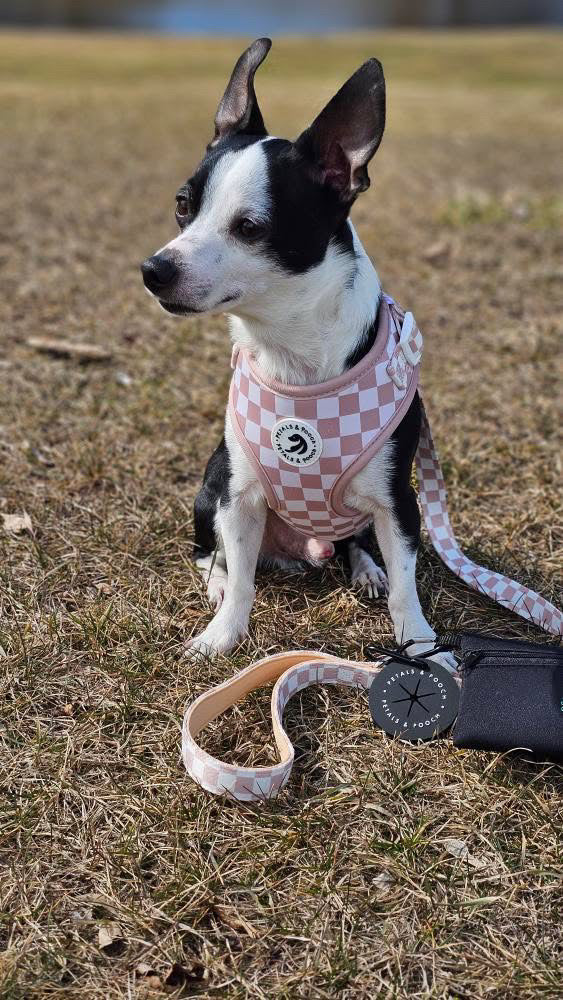 Check Me Out Adjustable Harness