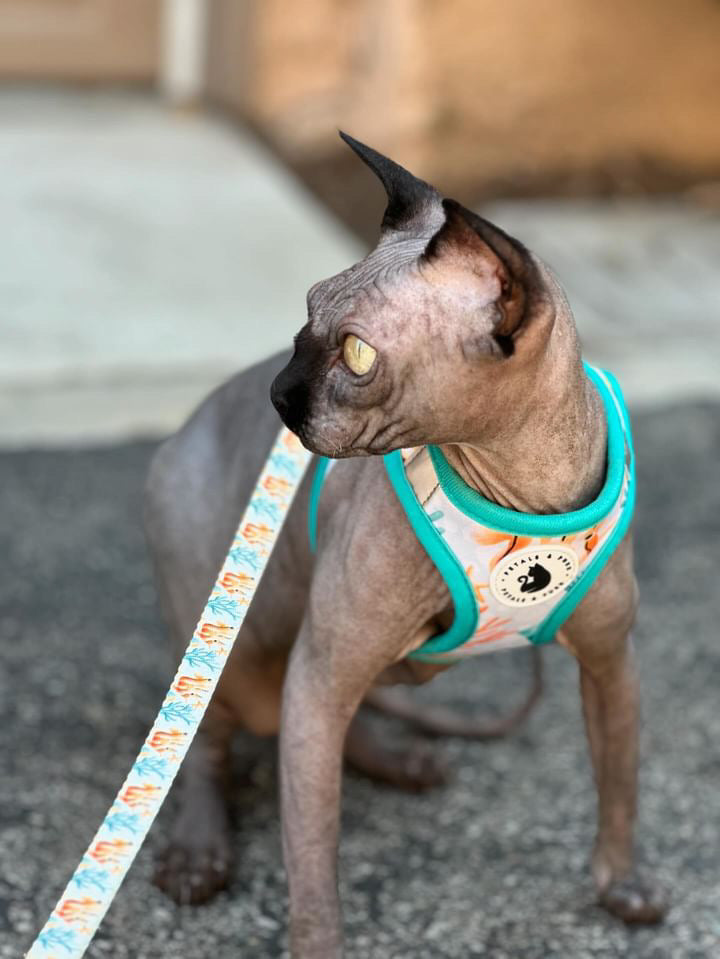 Somethin' Fishy Cat Step-In Harness