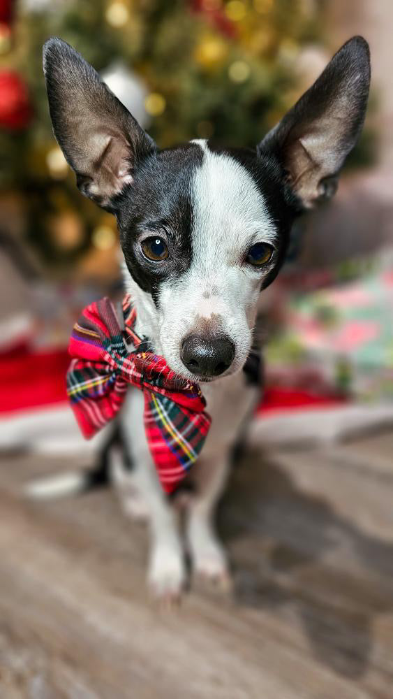 Winter Plaid Sailor Bow