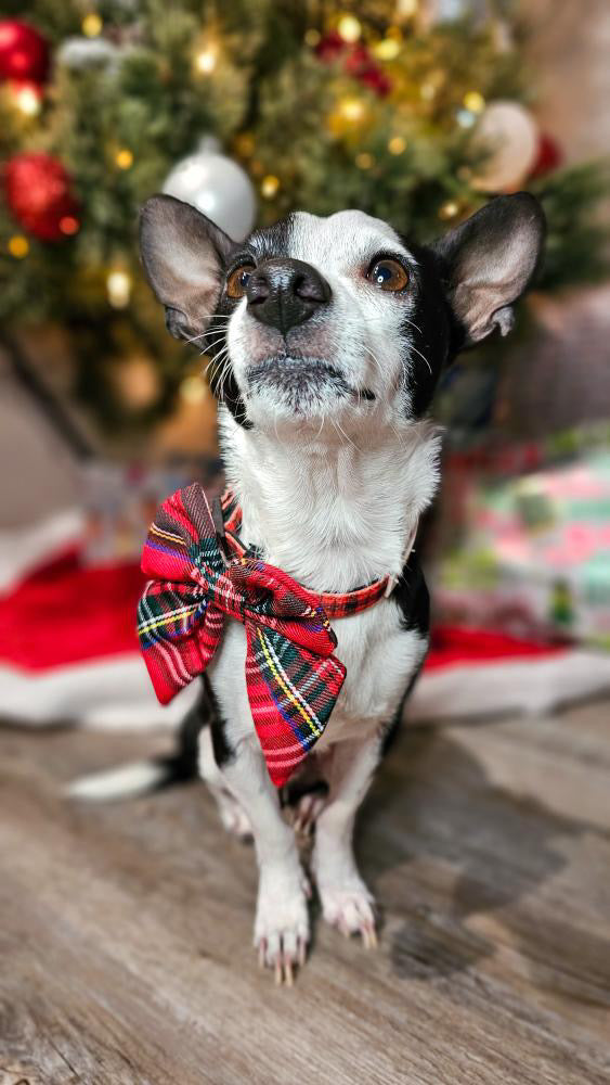 Winter Plaid Sailor Bow