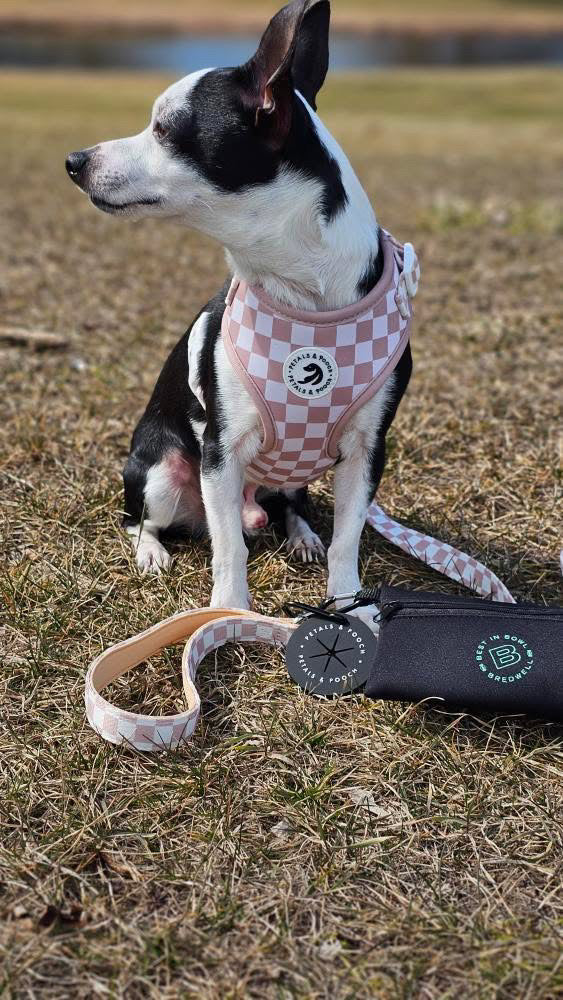 Check Me Out Adjustable Harness