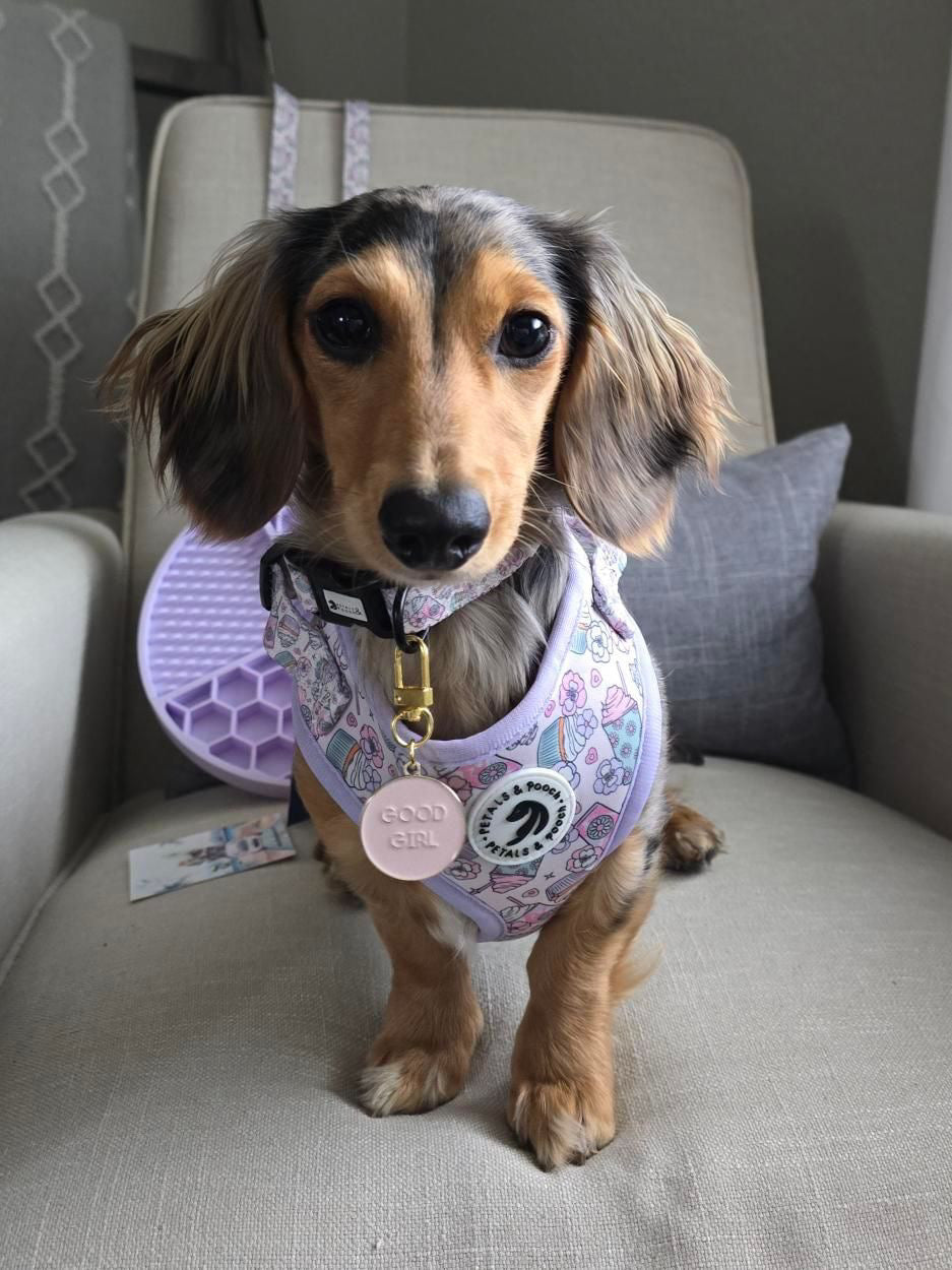 Good Girl Charm