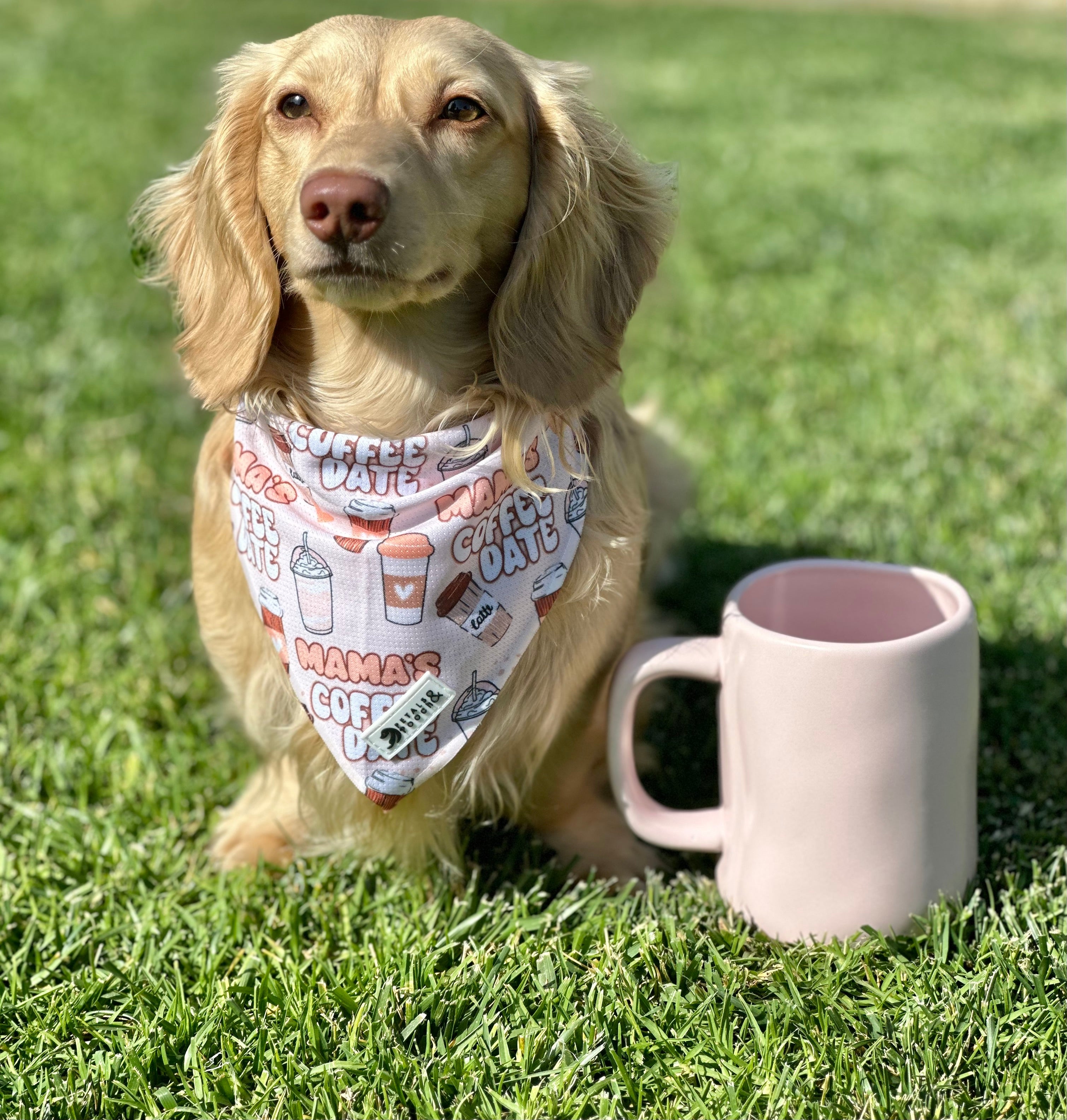 Mama's Coffee Date Bandana