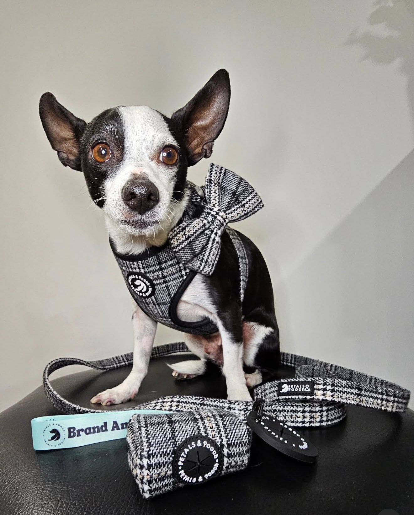 The Grant Adjustable Harness