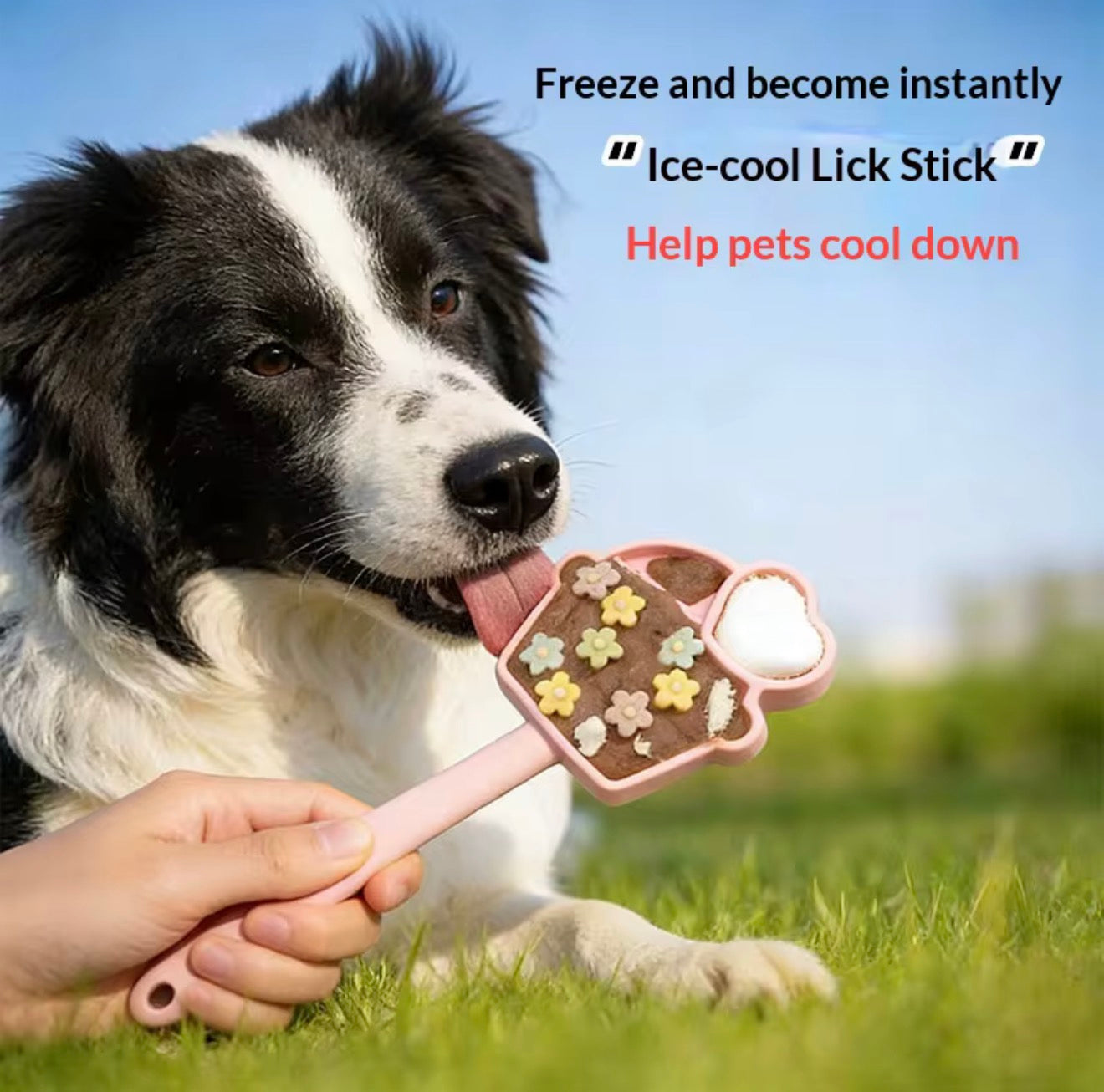 Lick Lolli
