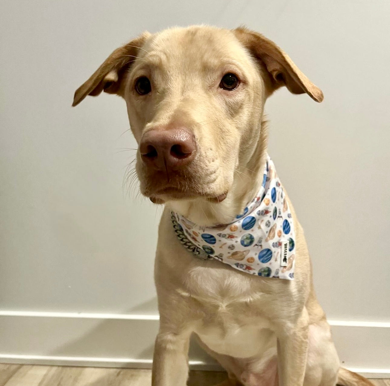 Out of This World Bandana