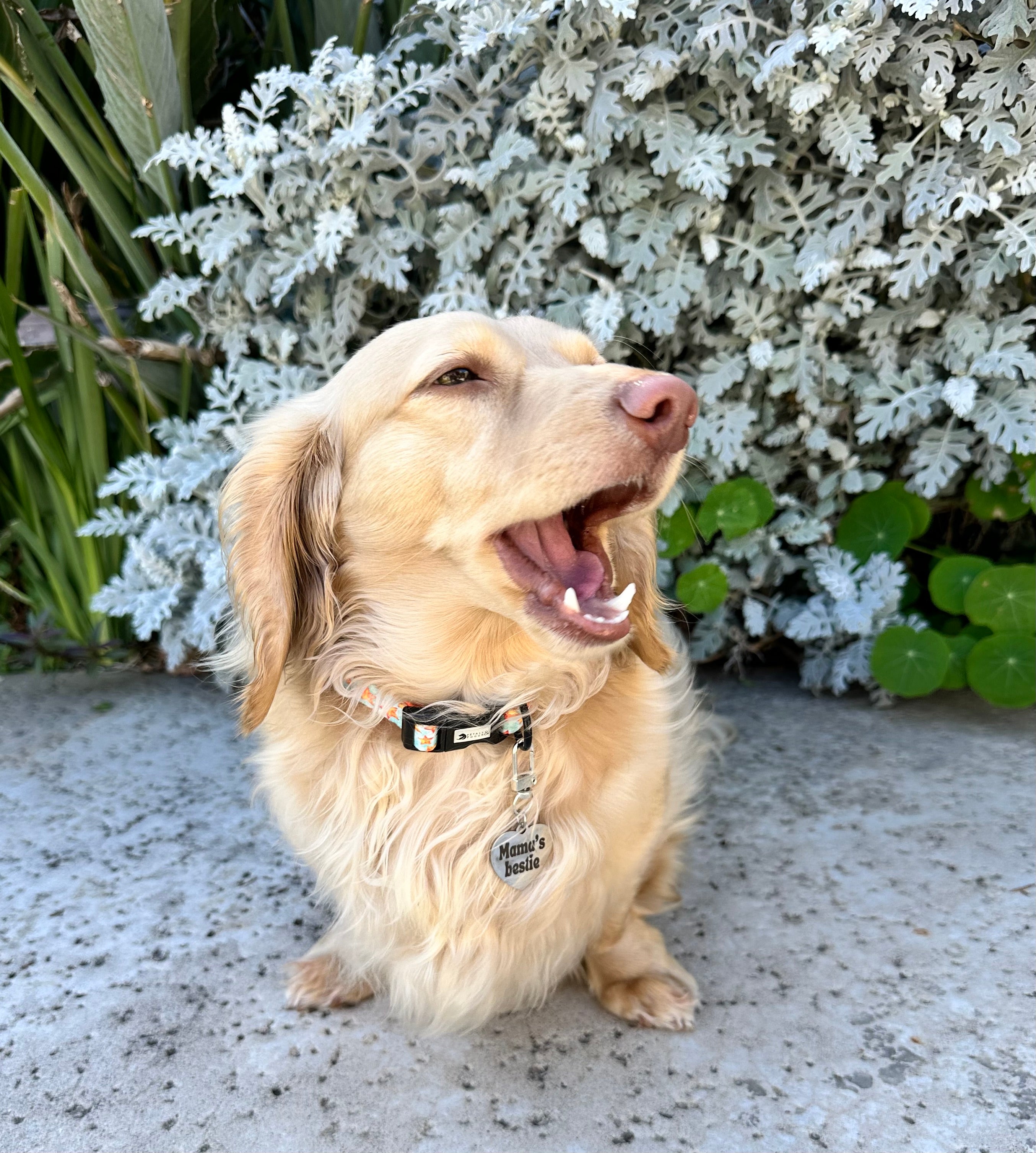 Mama's Bestie Collar Charm