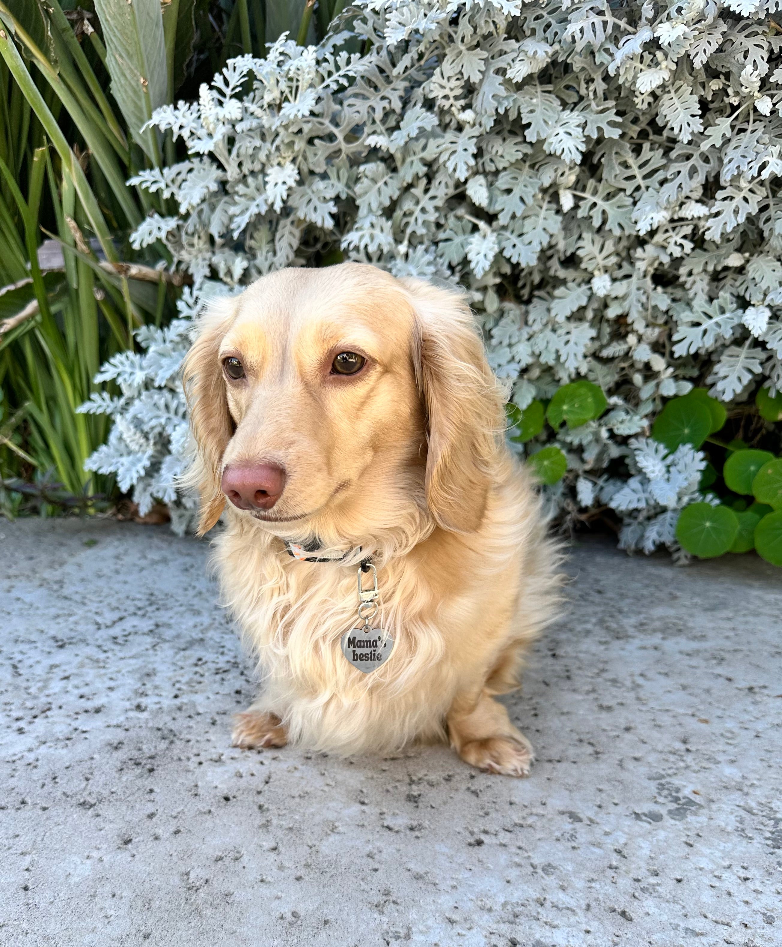 Mama's Bestie Collar Charm
