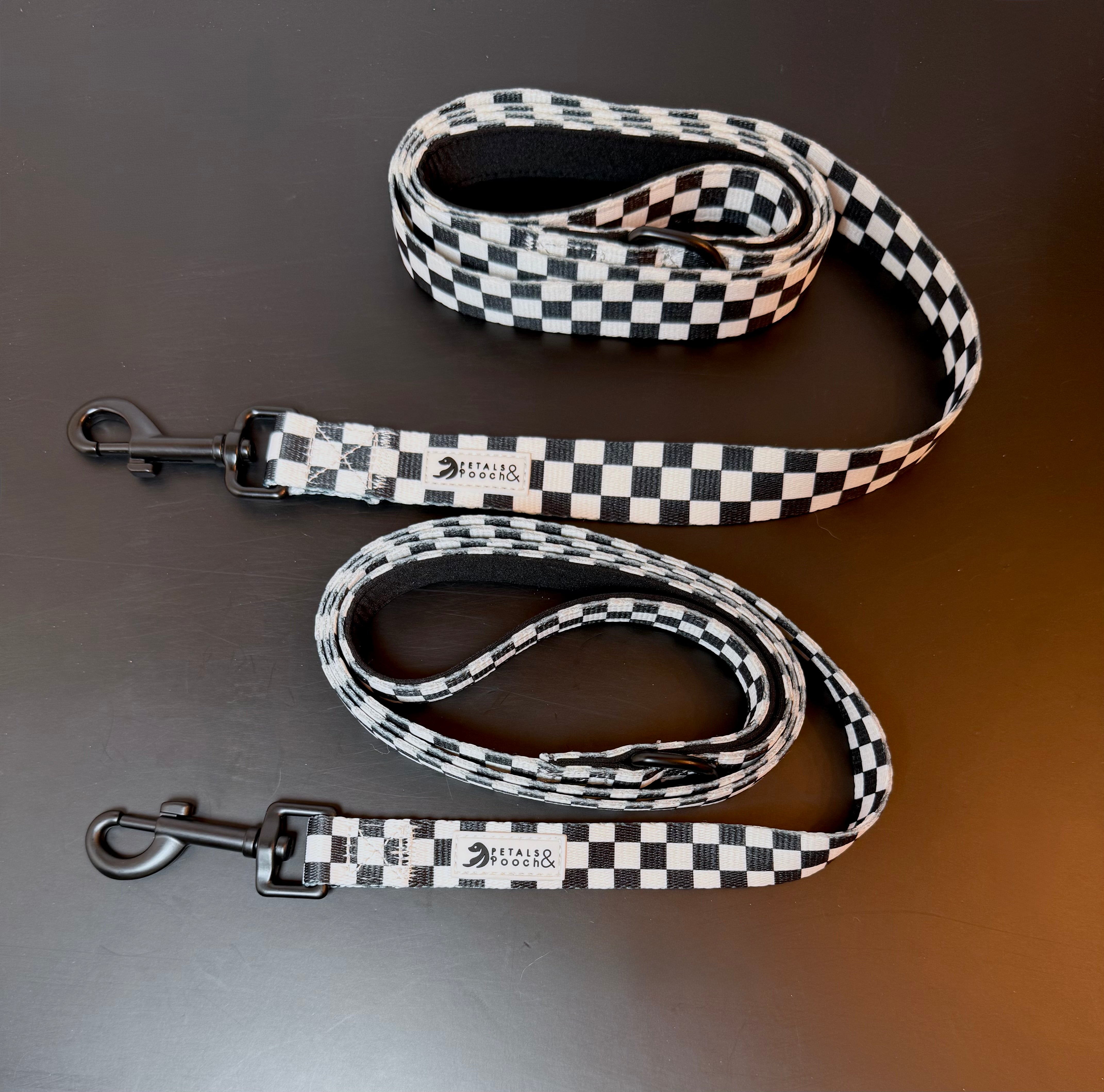 Victory Lap Leash