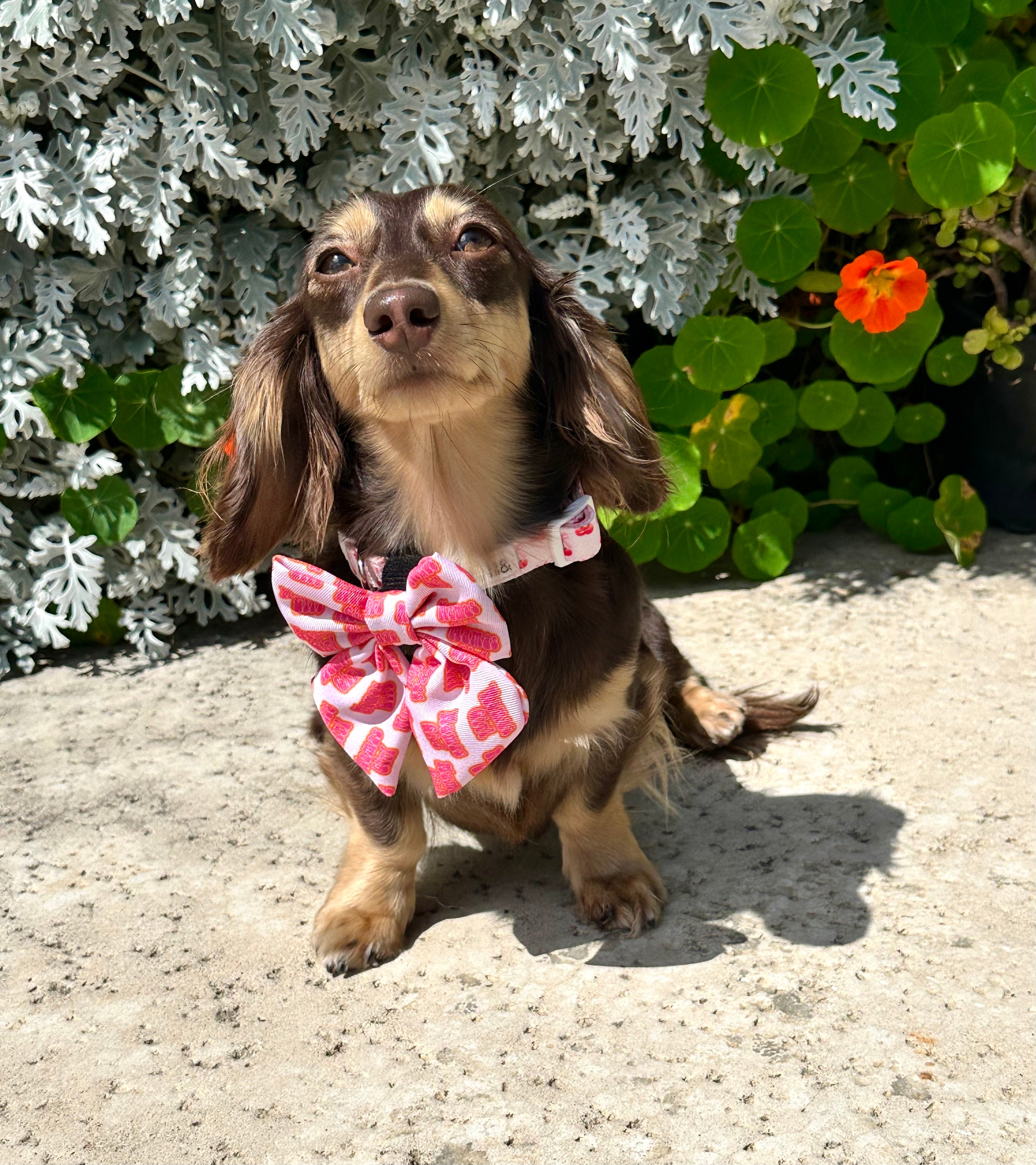 Mama's Girl Sailor Bow
