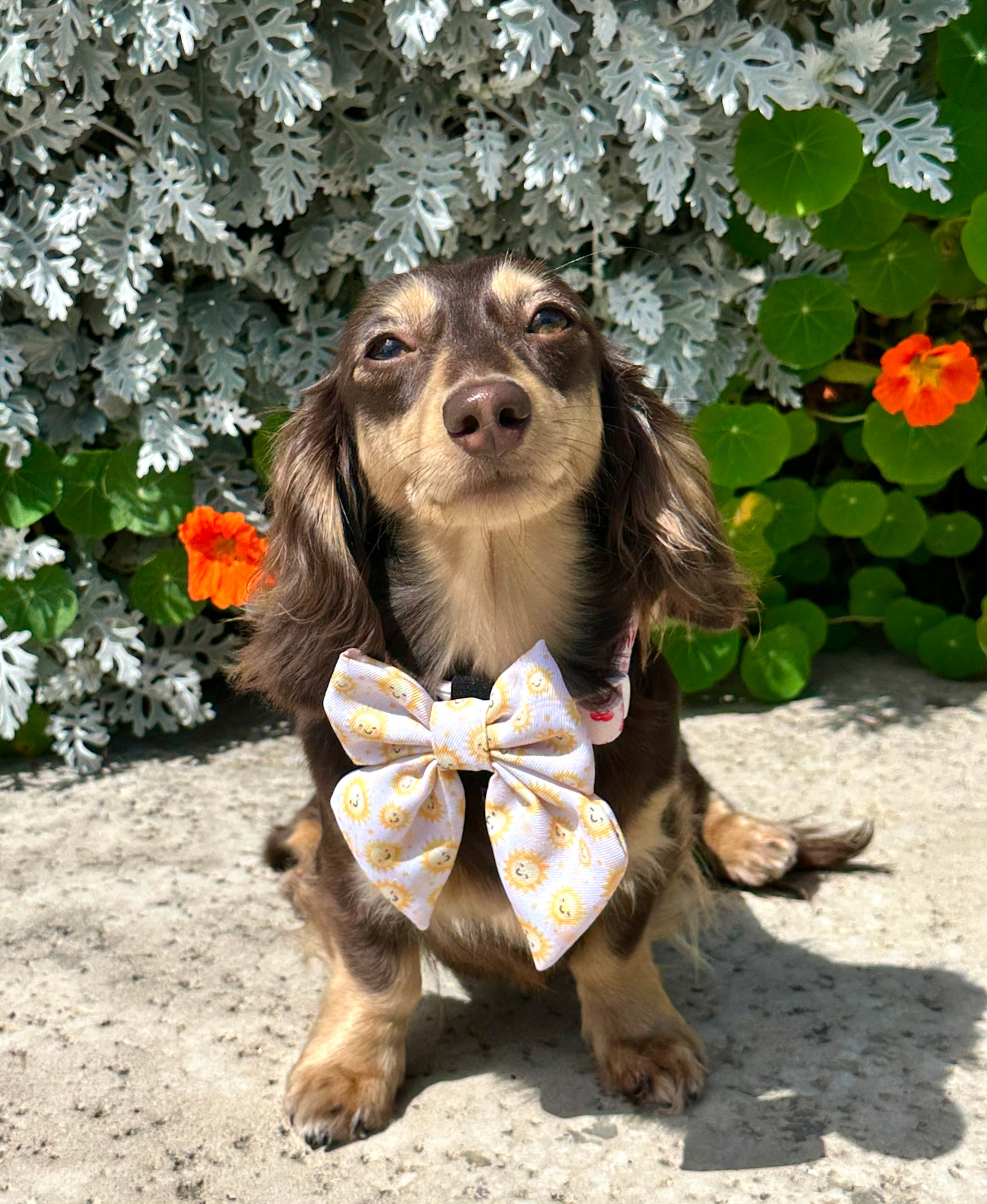 Hello Sunshine Sailor Bow