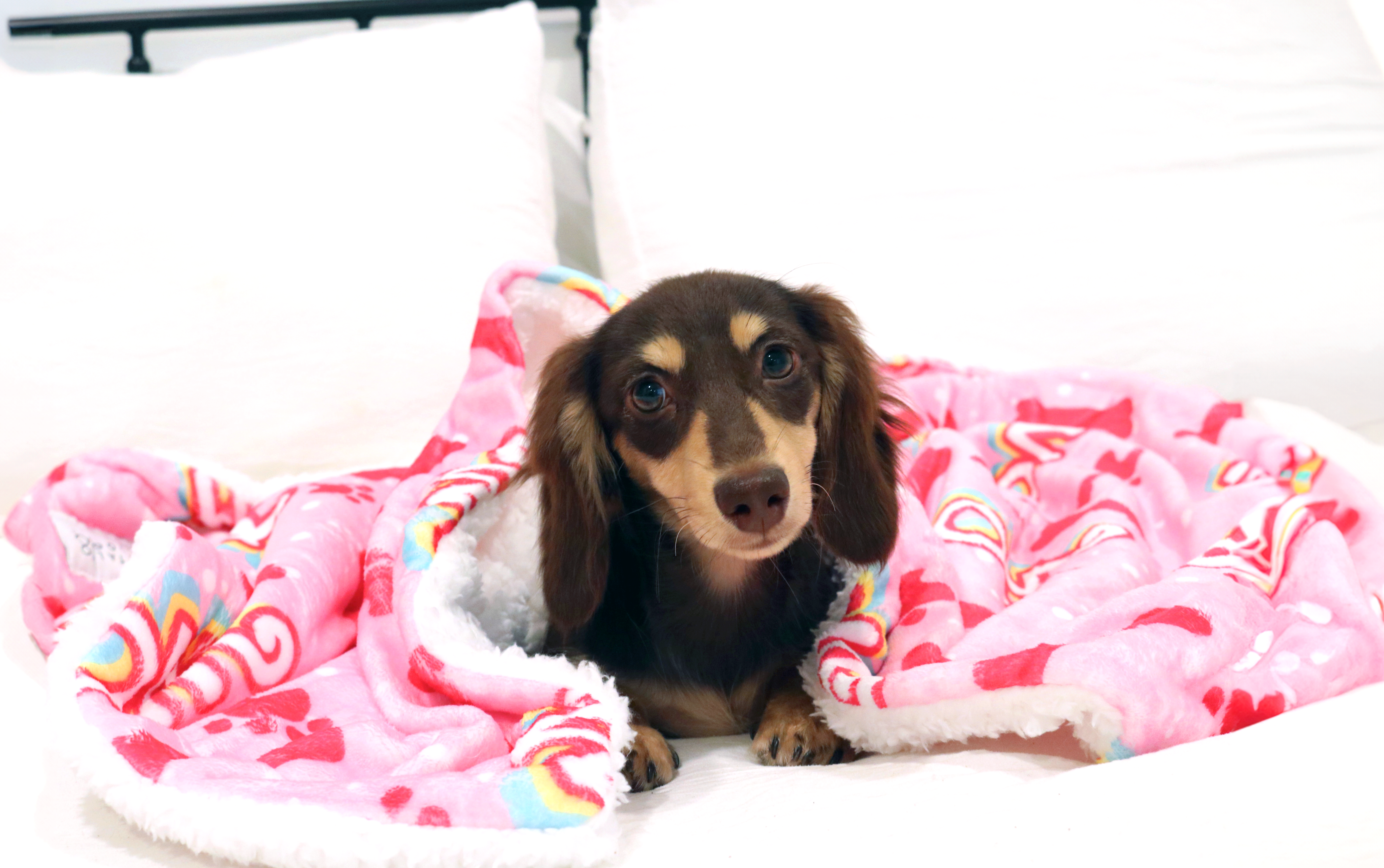 OC Bawbie Blanket
