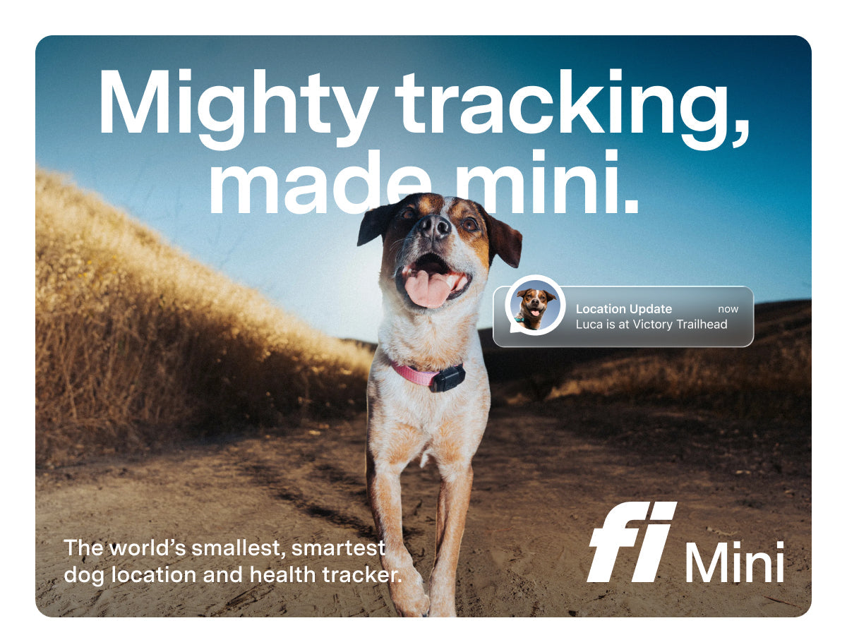Fi Mini GPS Tracker for Dogs — 6-Month Membership Included — Smart Pet Tracking Collar Attachment — Lightweight, Virtual Fences, Escape Alerts, Step & Health, Waterproof