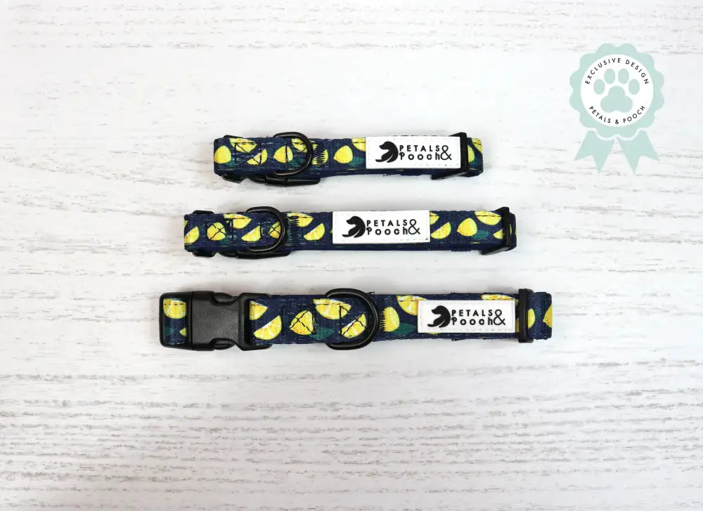 Adriana Collar Collars