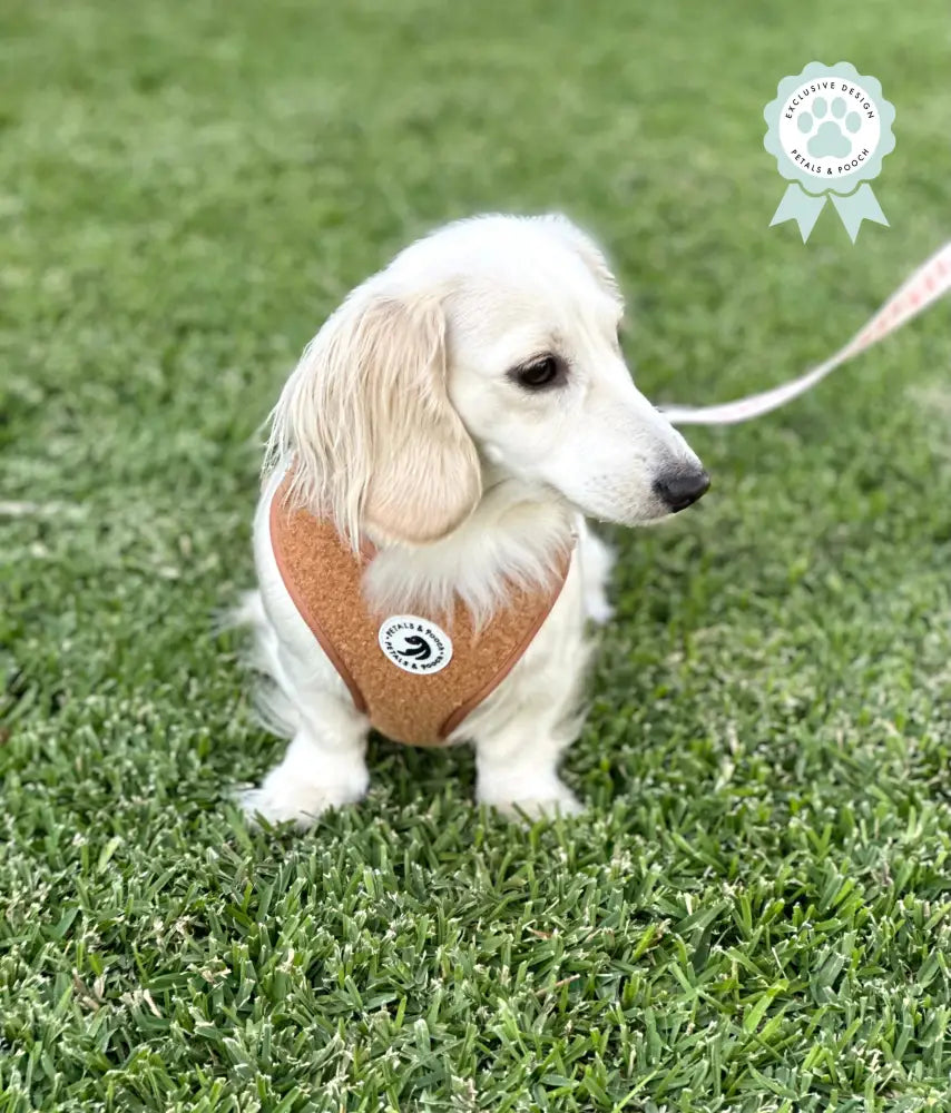 Beary Best Harness Adjustable