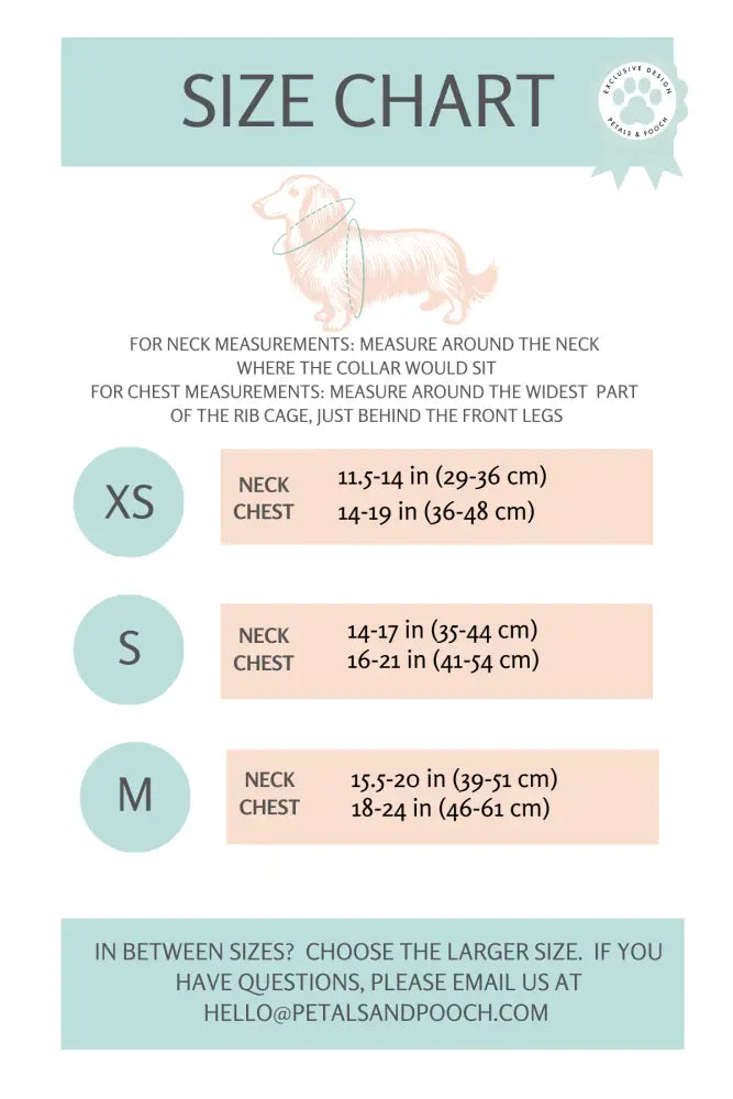 Doxie’s At The Beach Adjustable Harness Adjustable Harness