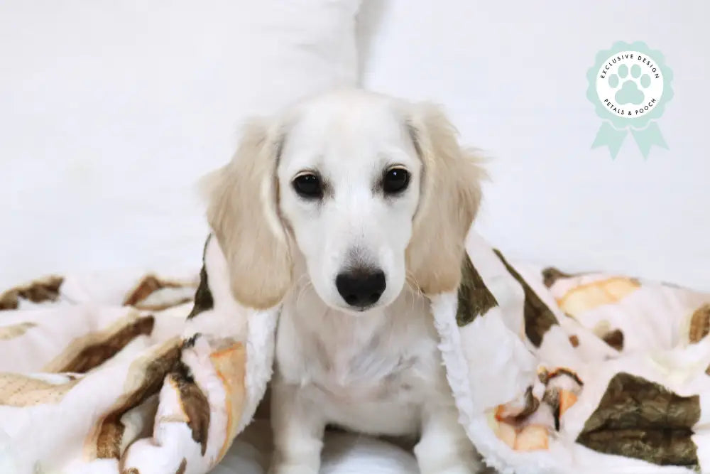 Kelly Loves Smores Blanket