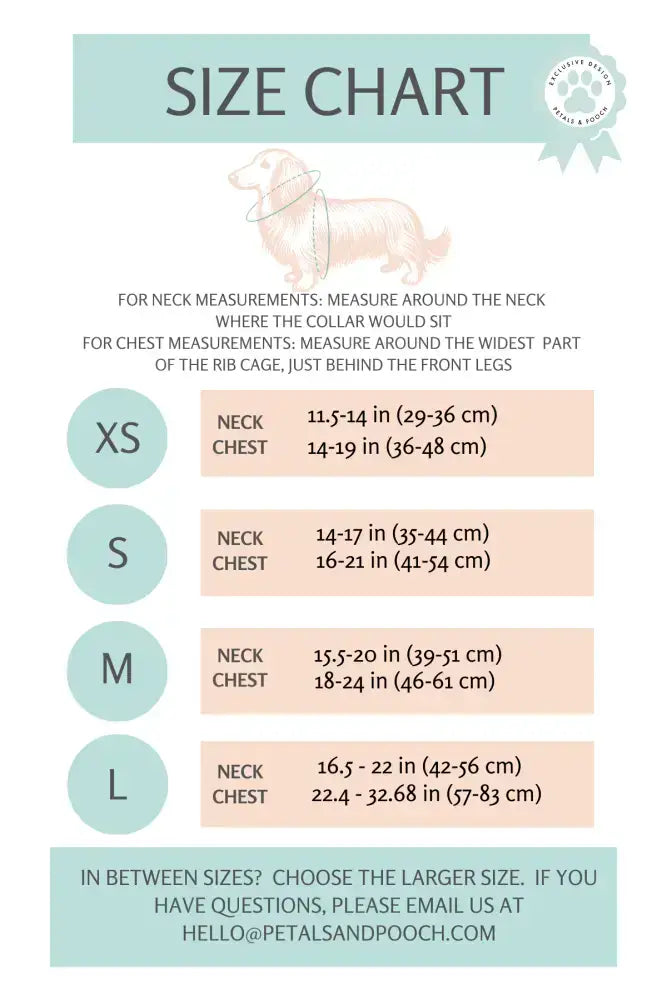 Beary Best Harness Adjustable