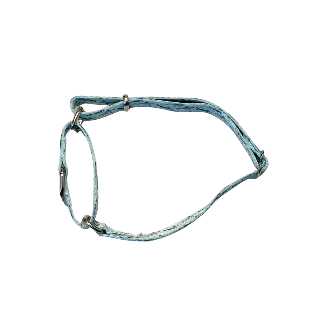 Shark Bait Martingale Collar