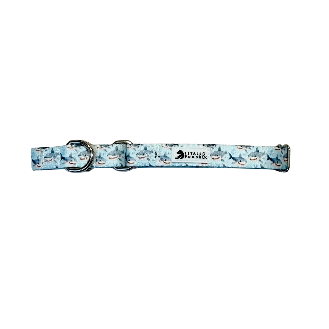 Shark Bait Martingale Collar