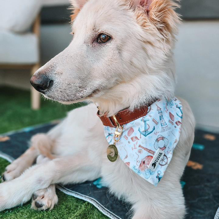 Nauti Gilligan Bandana