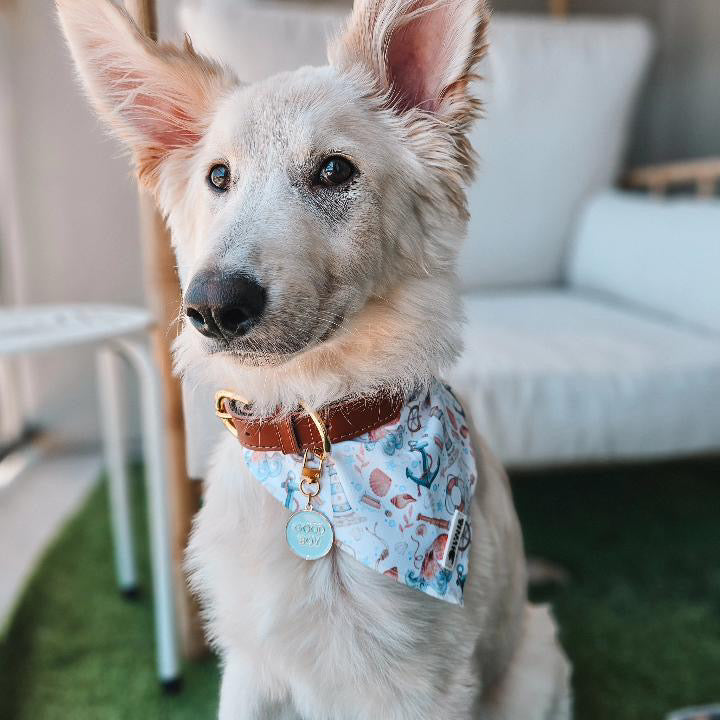 Nauti Gilligan Bandana