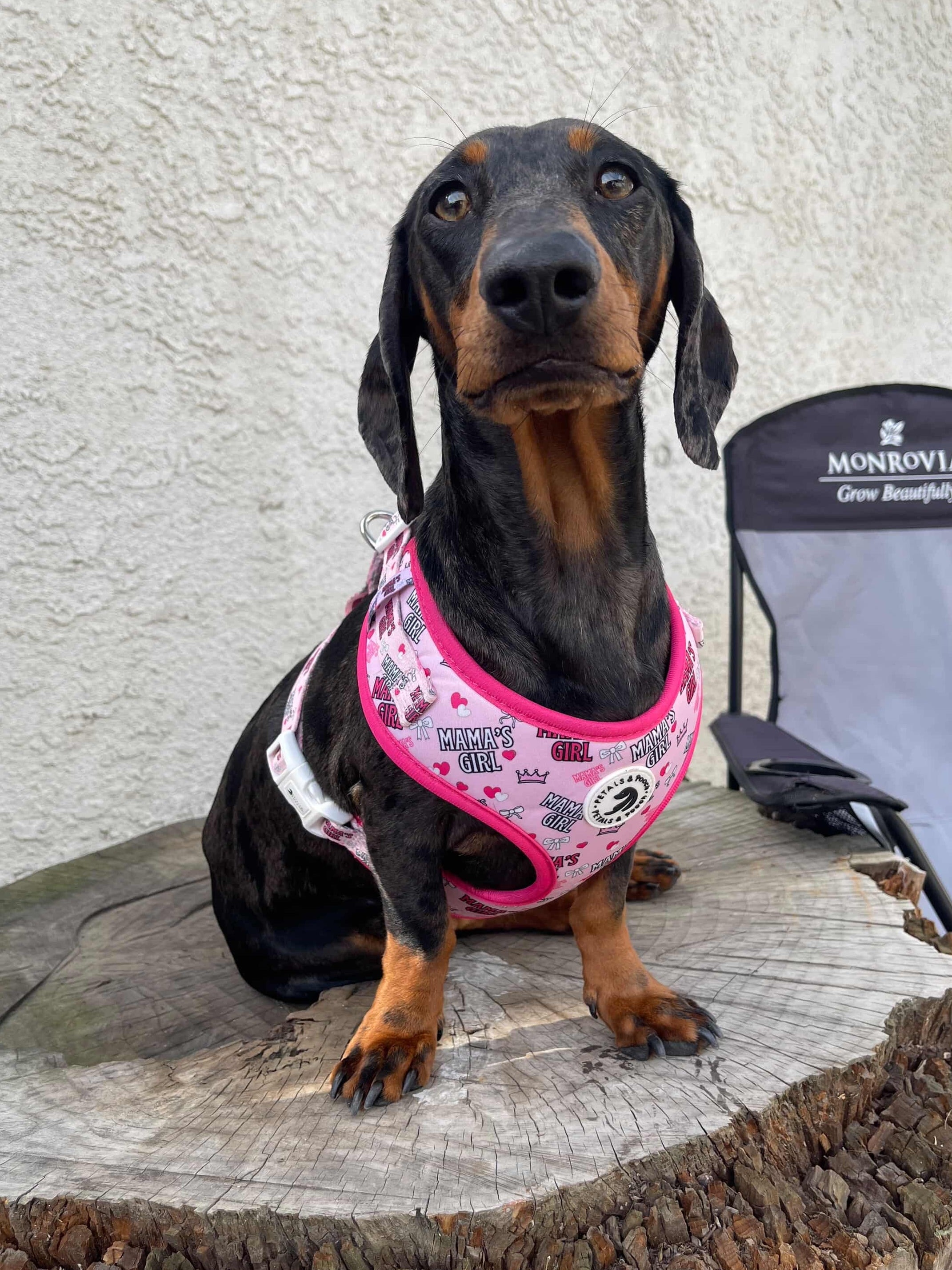 Mama's Girl Adjustable Harness