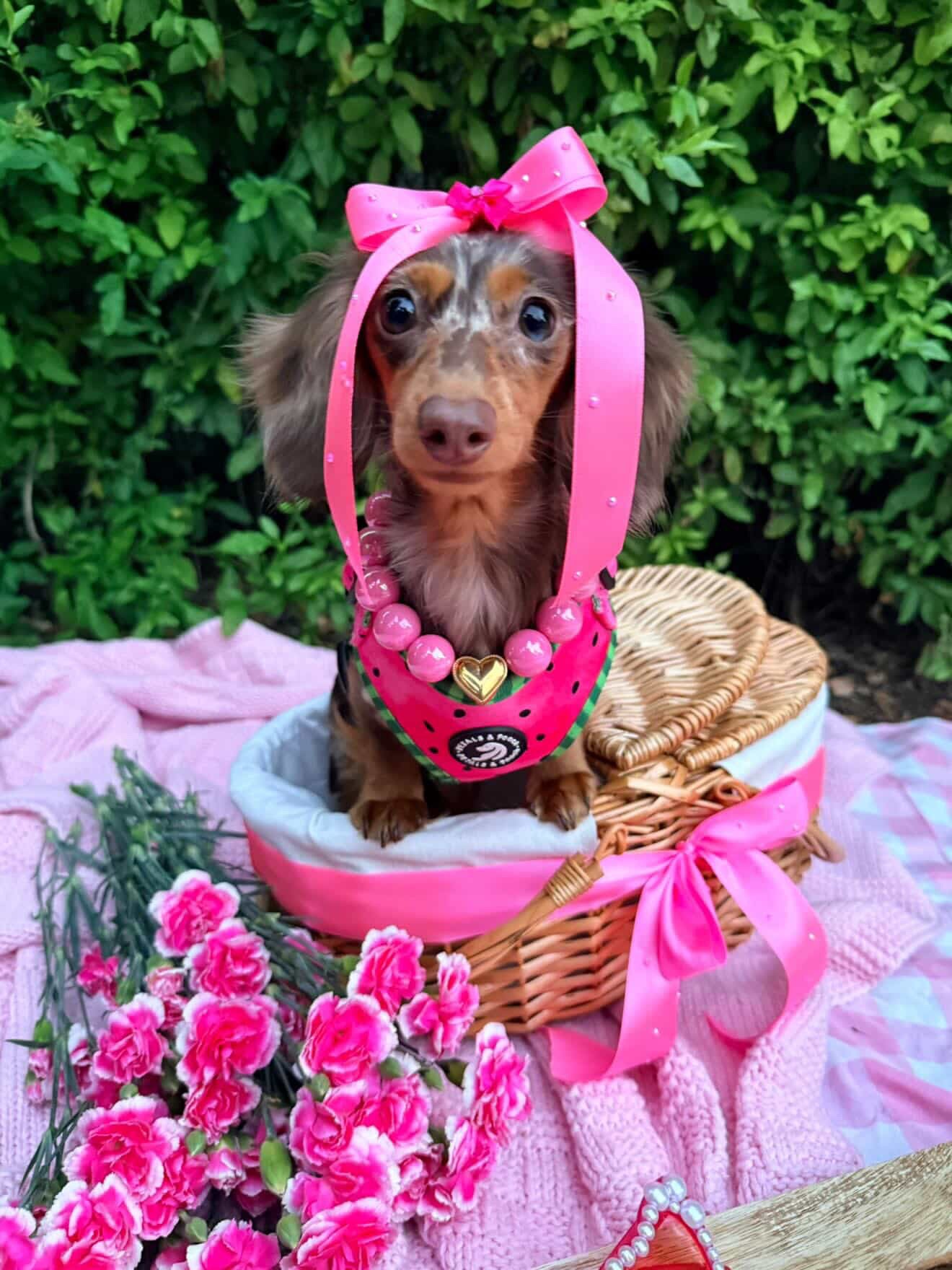 Melon Kisses Adjustable Harness