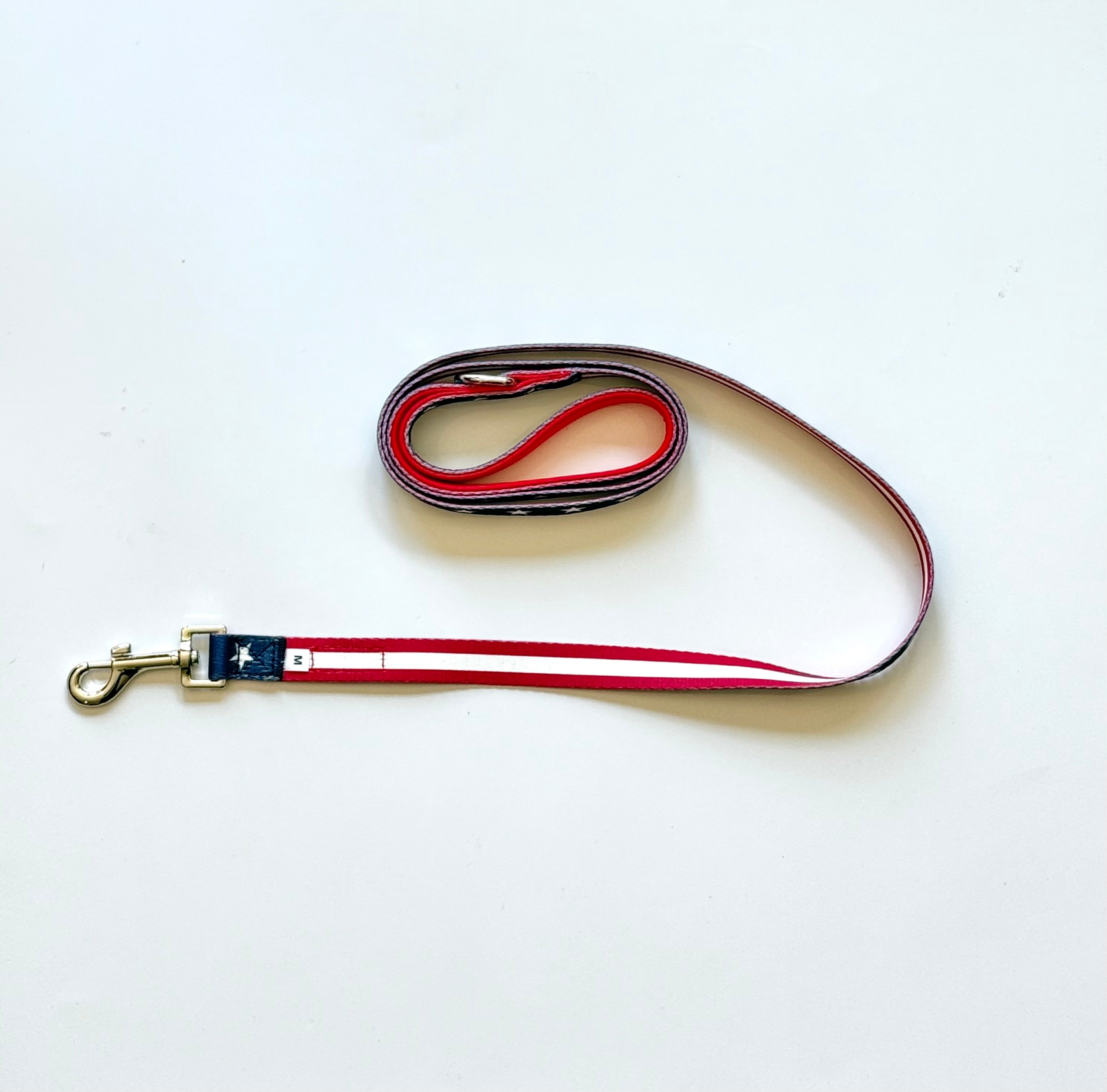 Paws & Stripes Leash (Reversible)