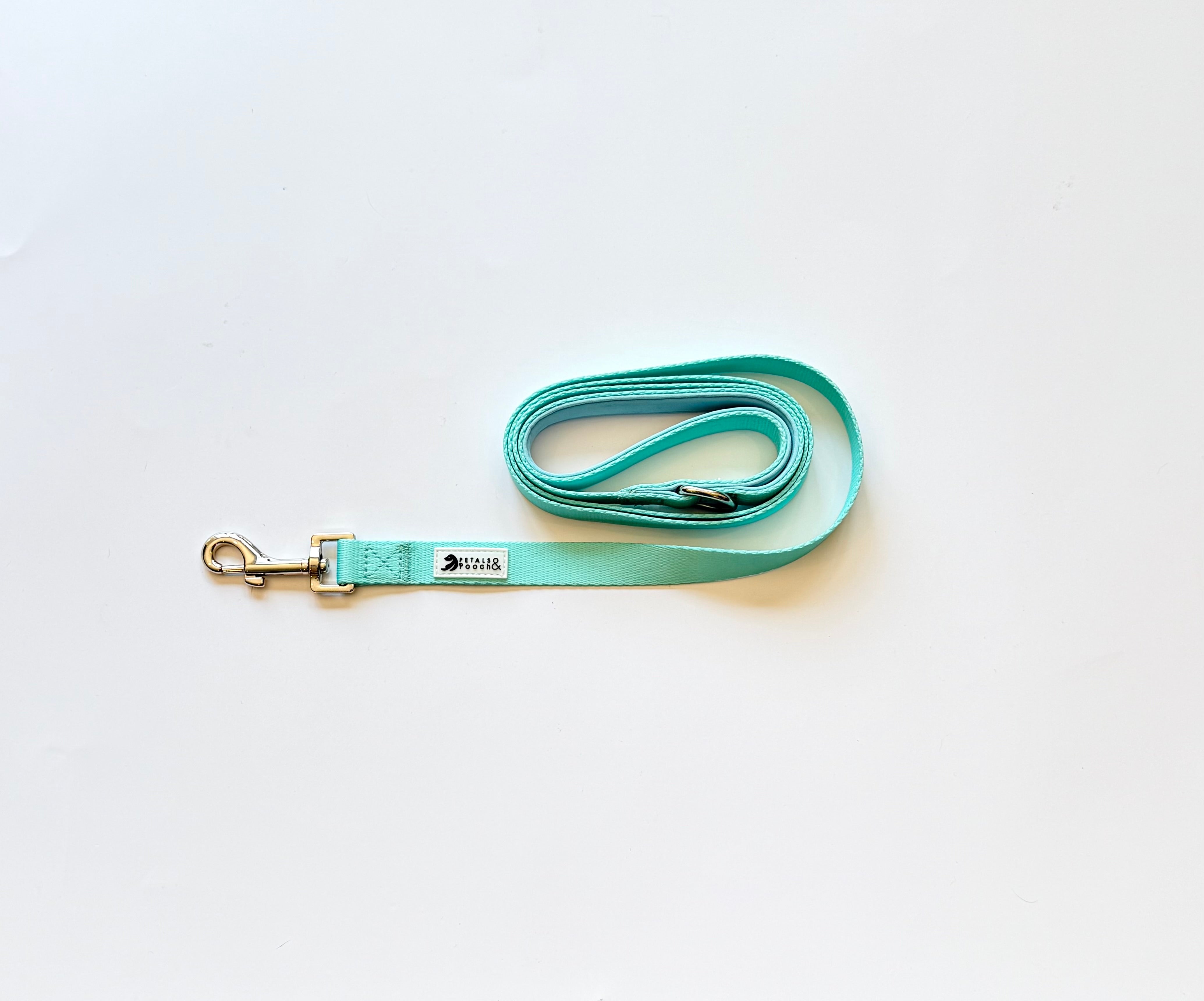 Sea Glass Leash