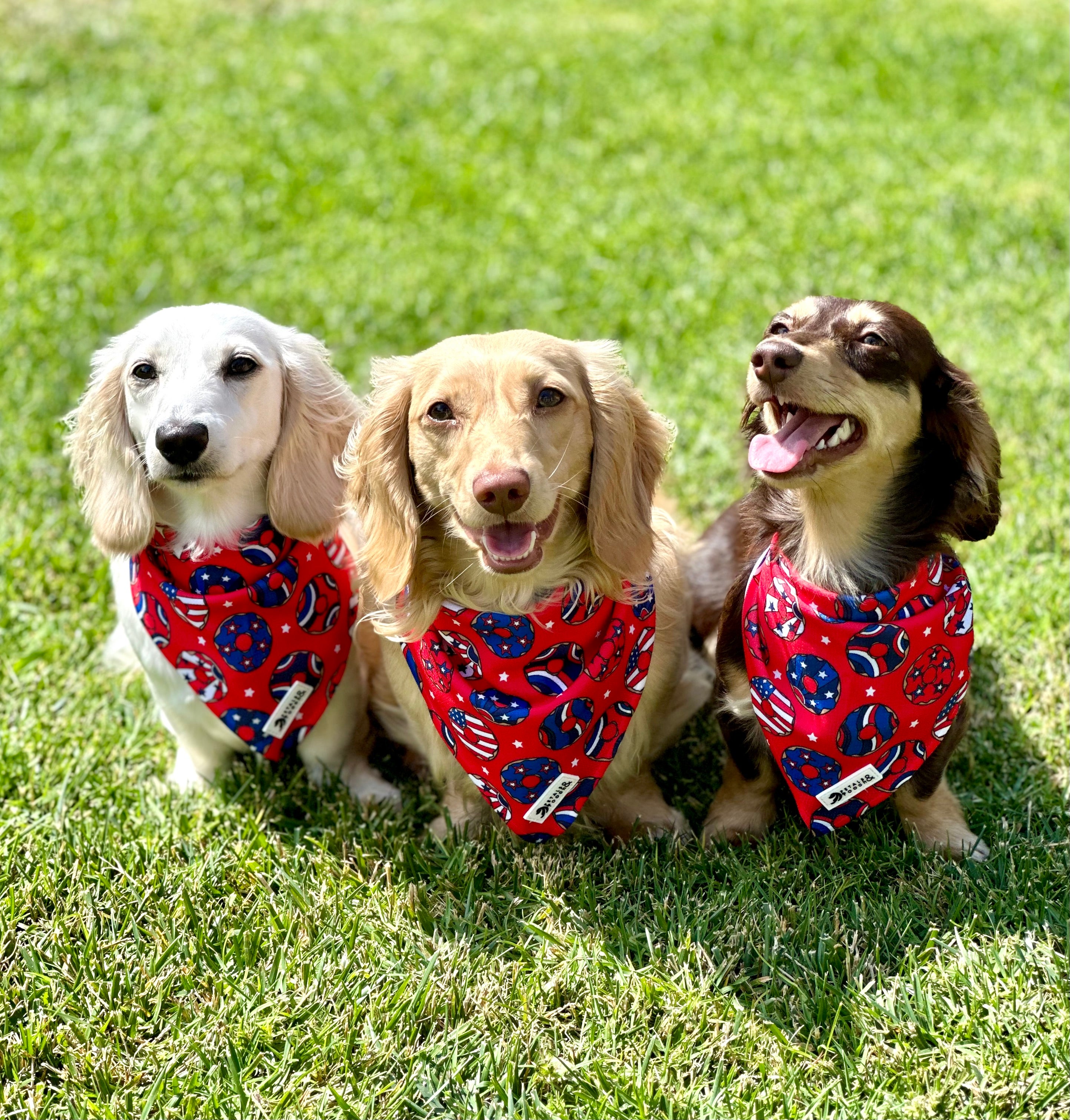 Star Spangled Donut Bandana