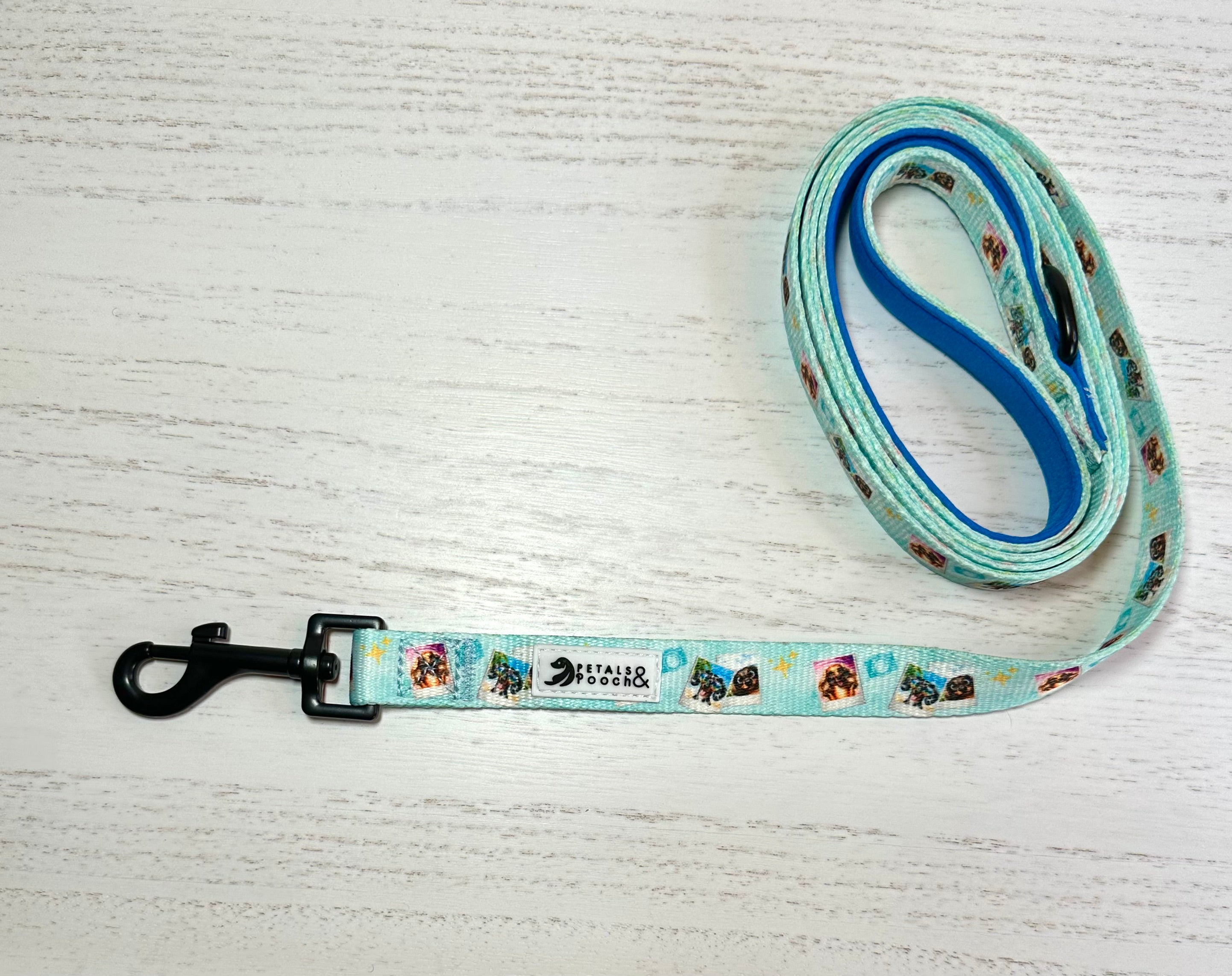 Doxie Pupparazzi Leash