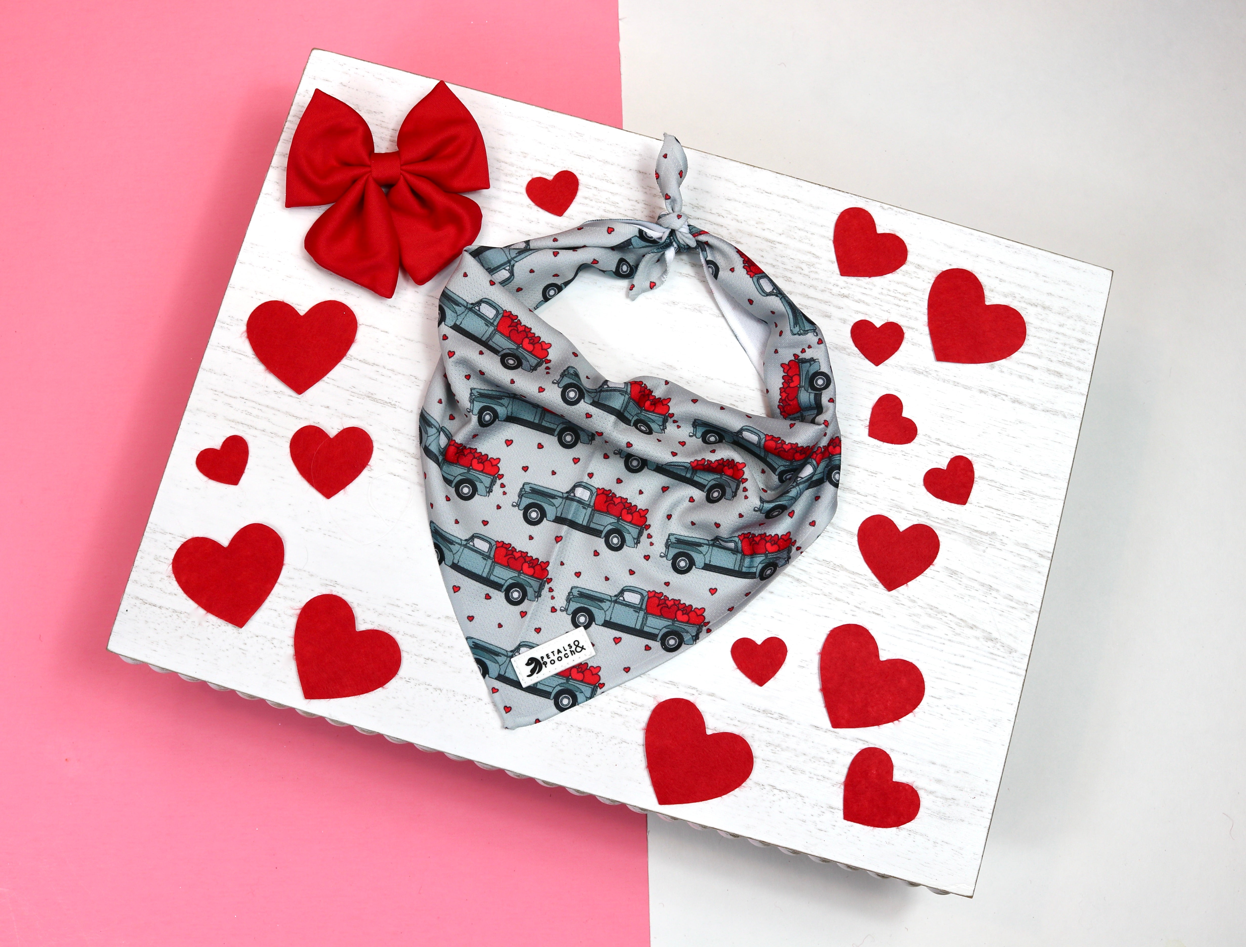 Truck Loads of Love Bandana