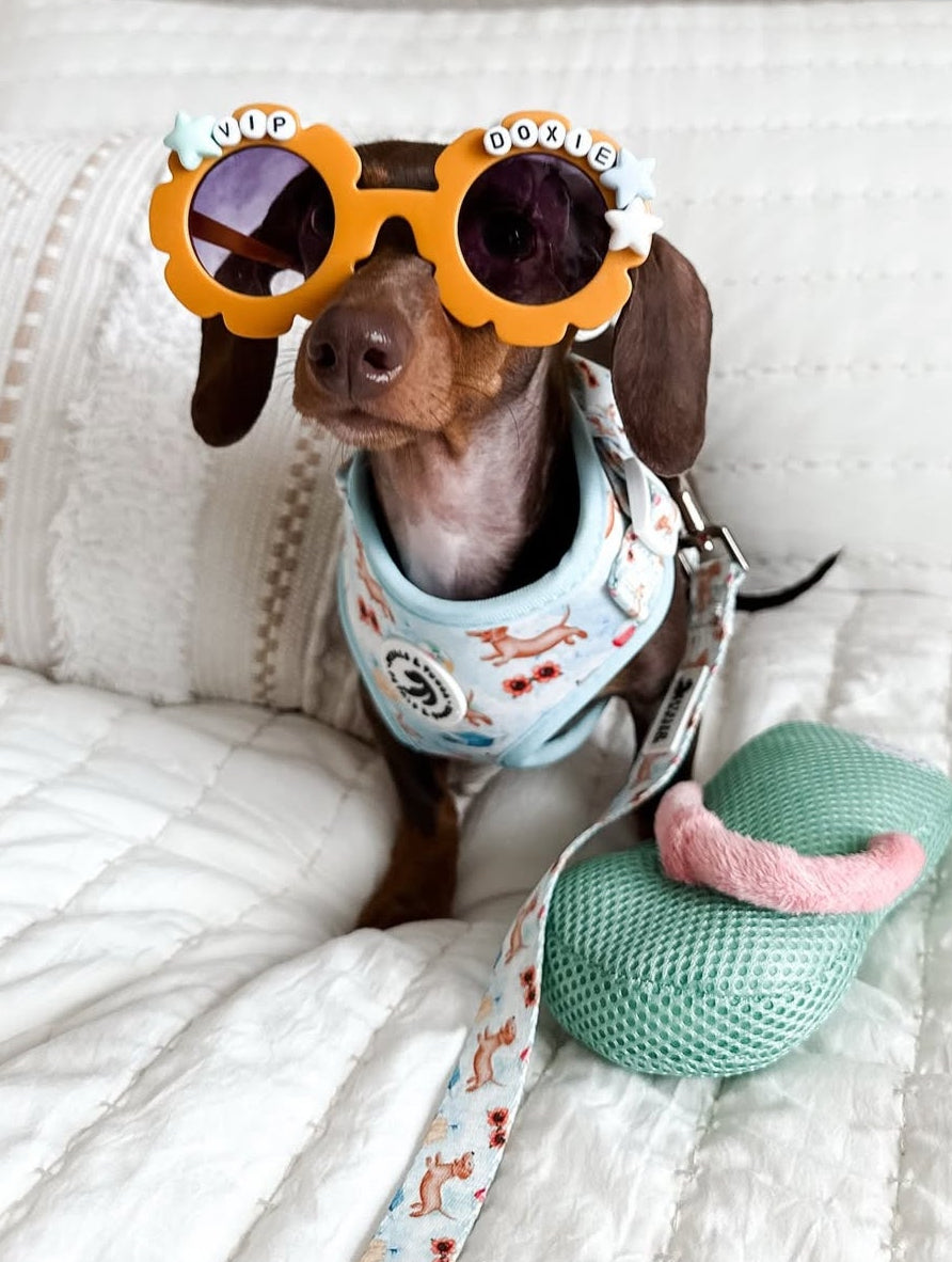 Doxie's At The Beach Adjustable Harness