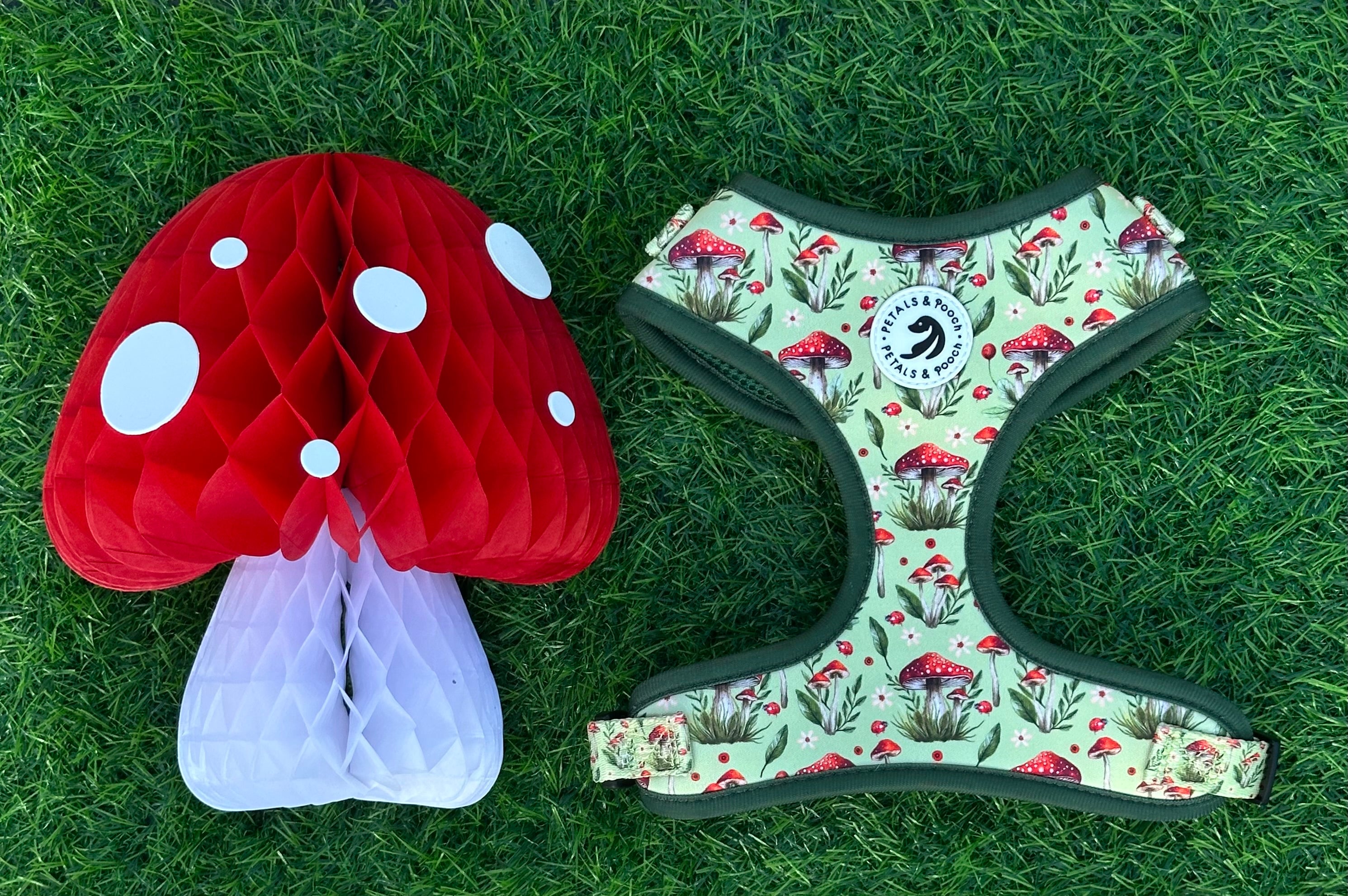 The Spotted Garden Adjustable Harness