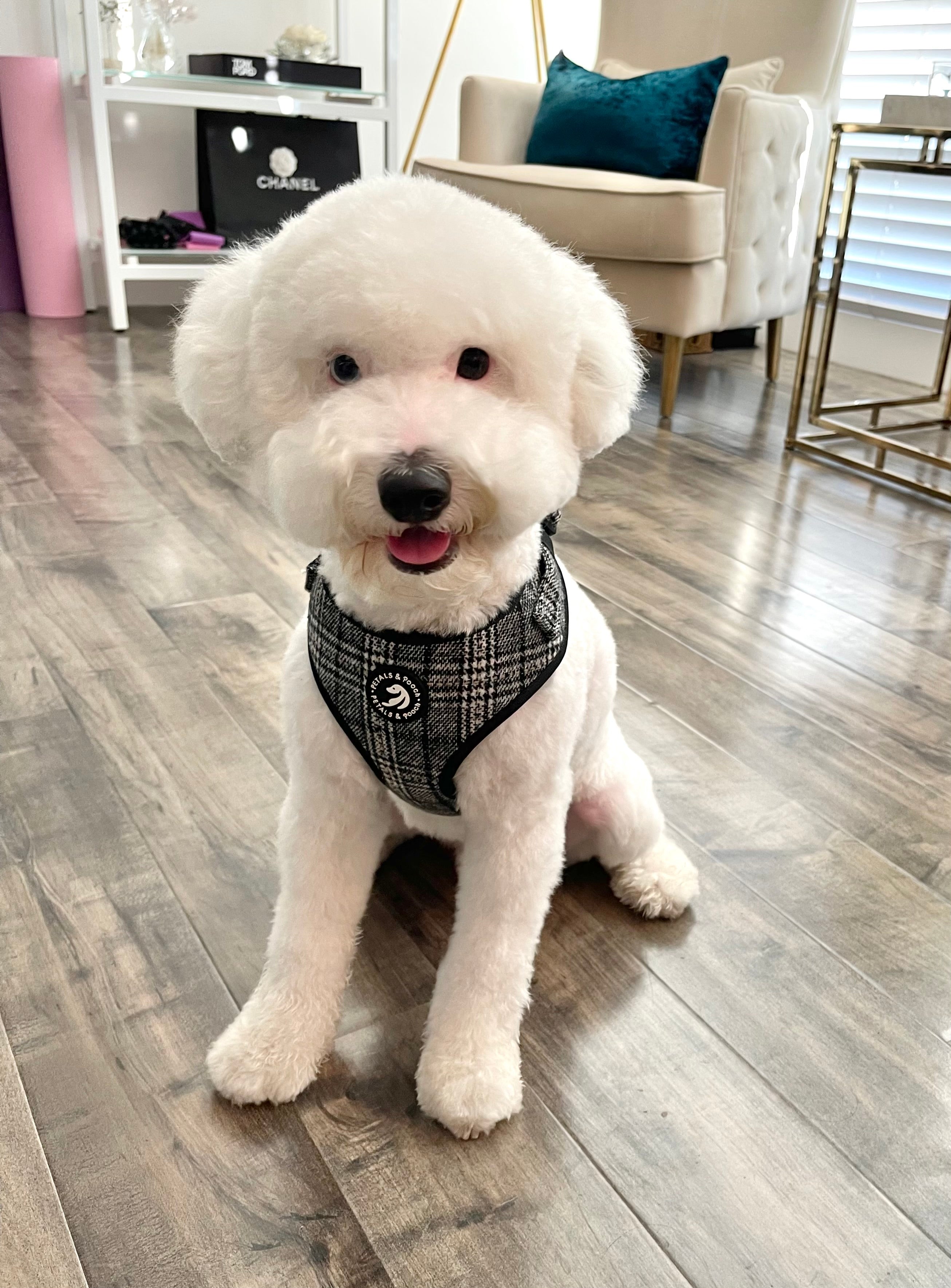 The Grant Adjustable Harness