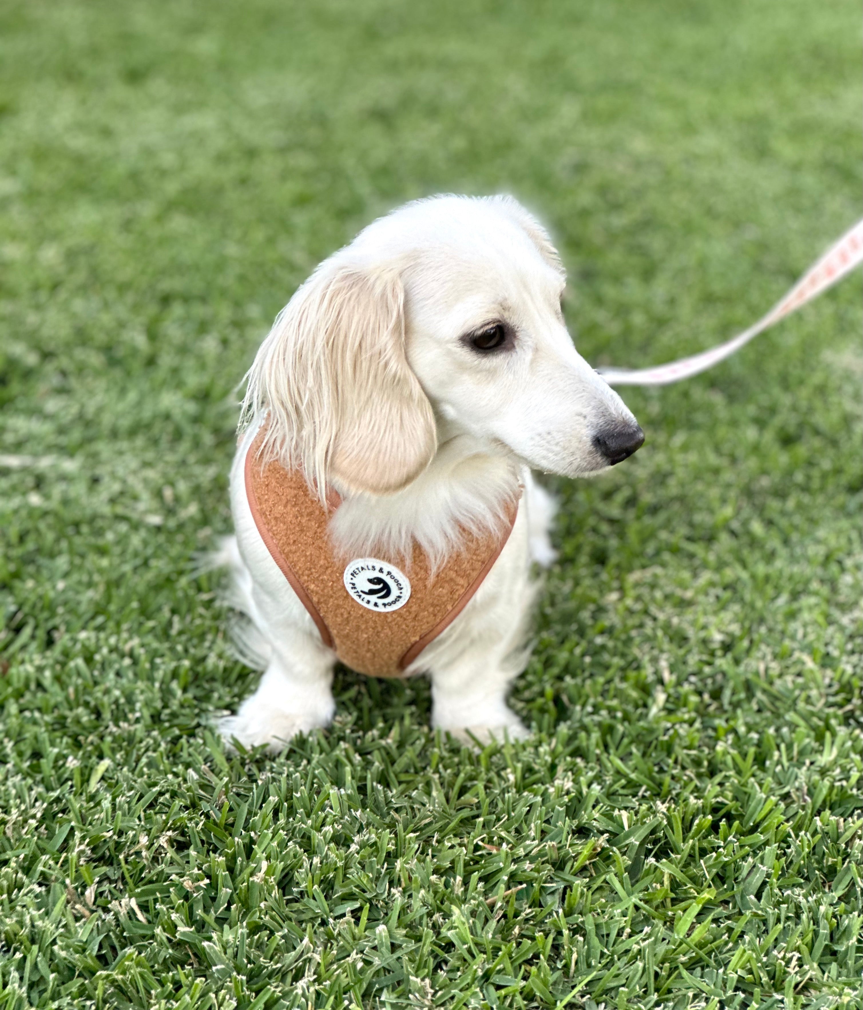 Beary Best Harness