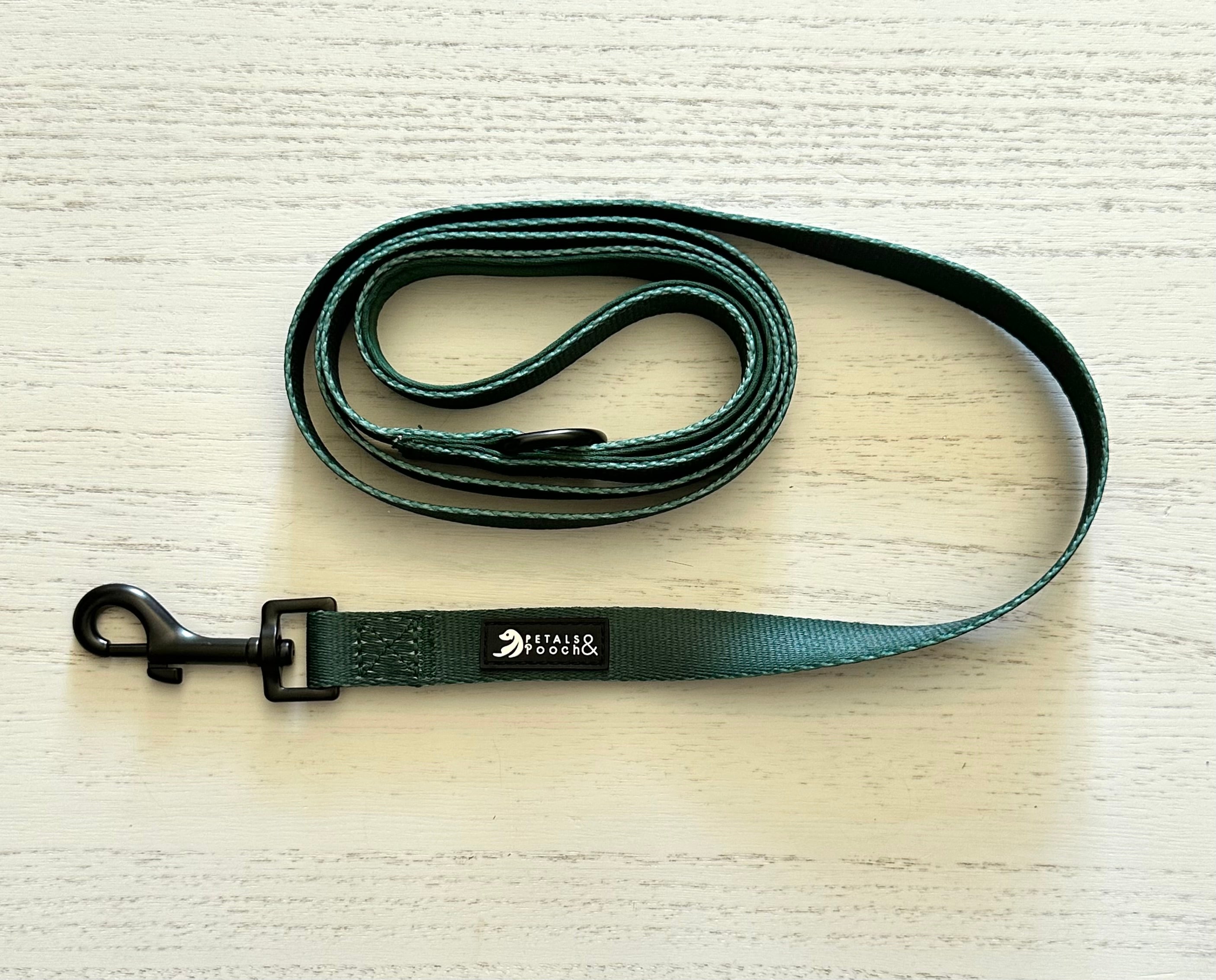 Evergreen Leash