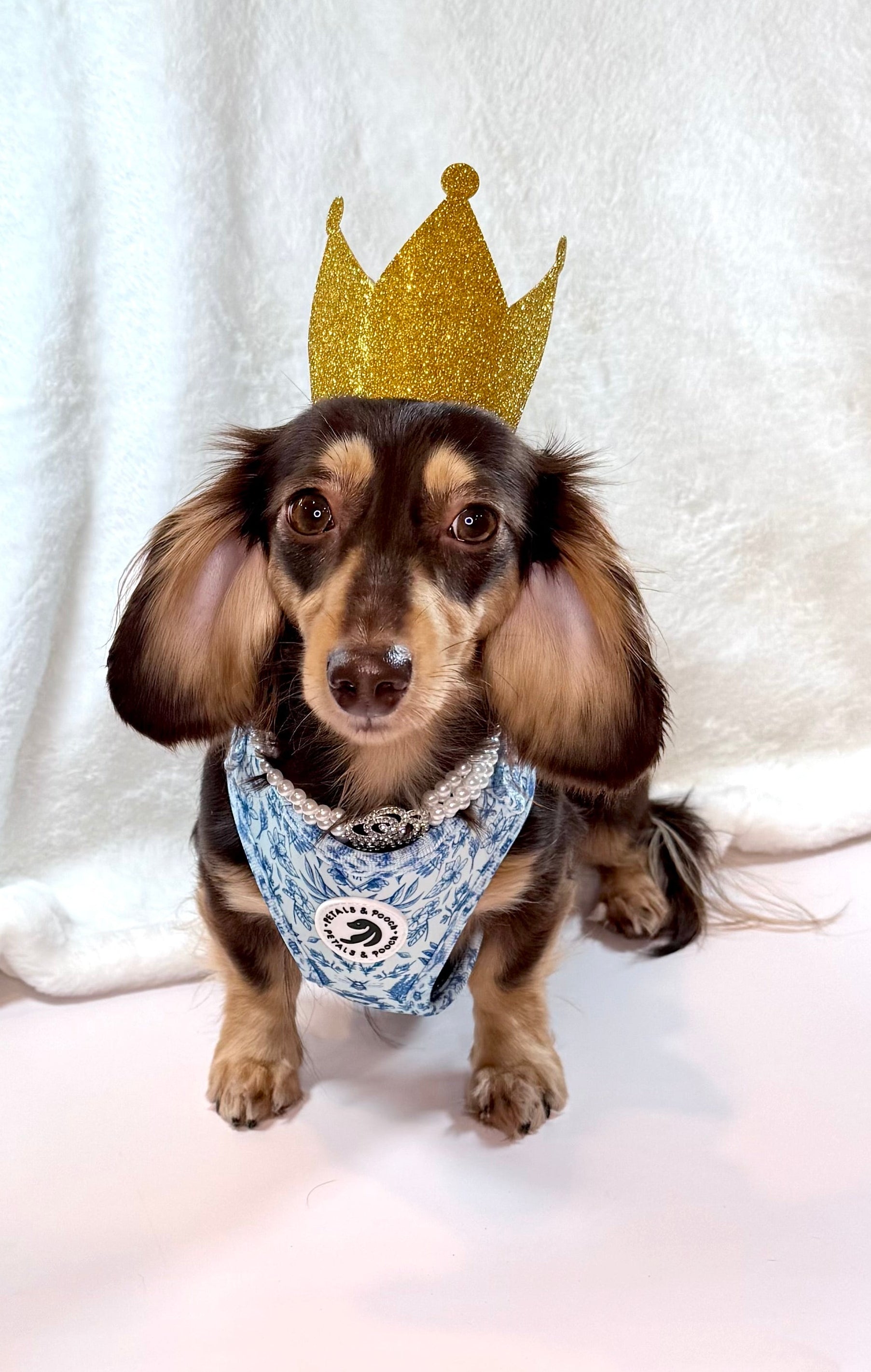 Pupperton Adjustable Harness