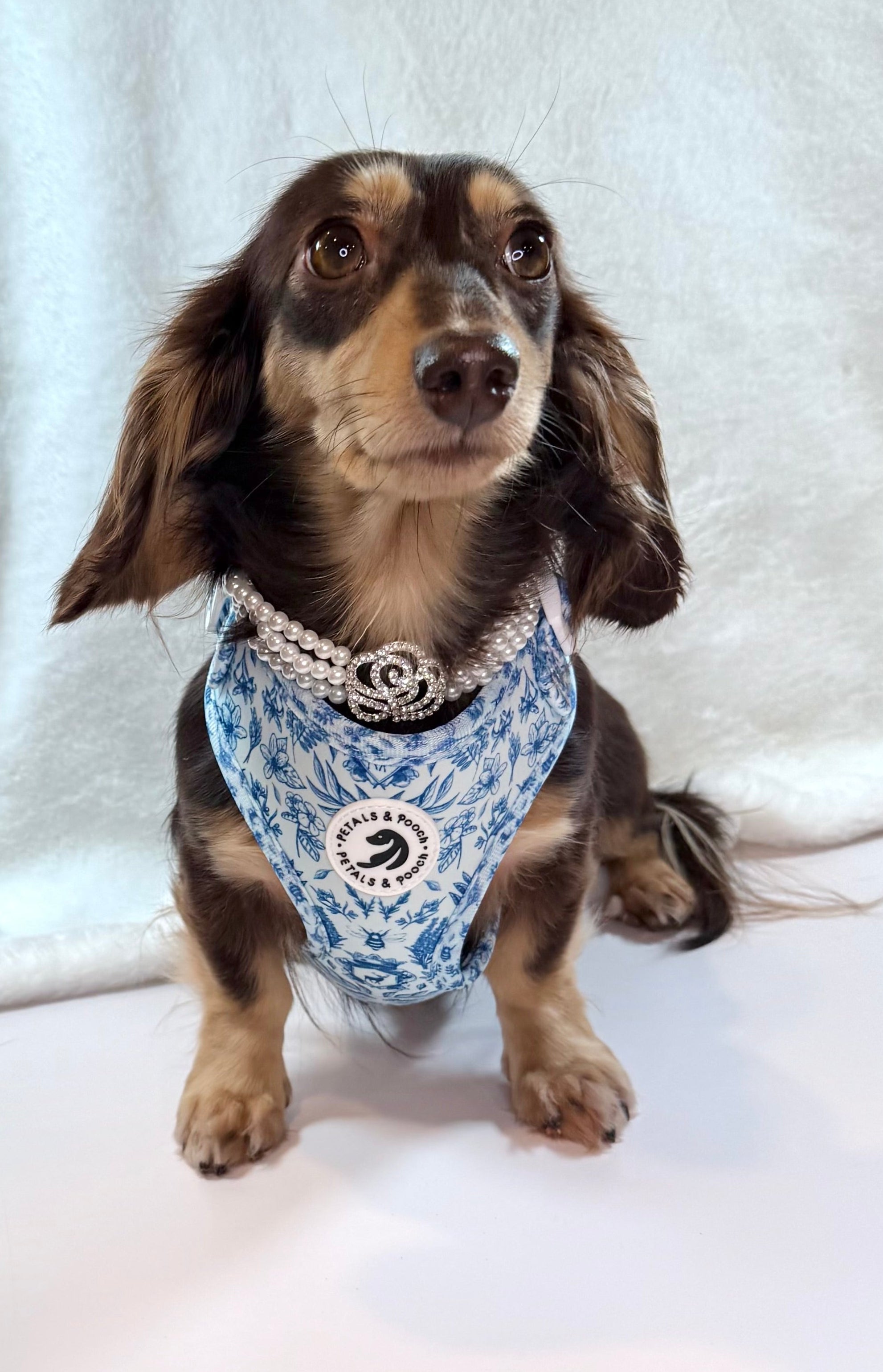 Pupperton Adjustable Harness