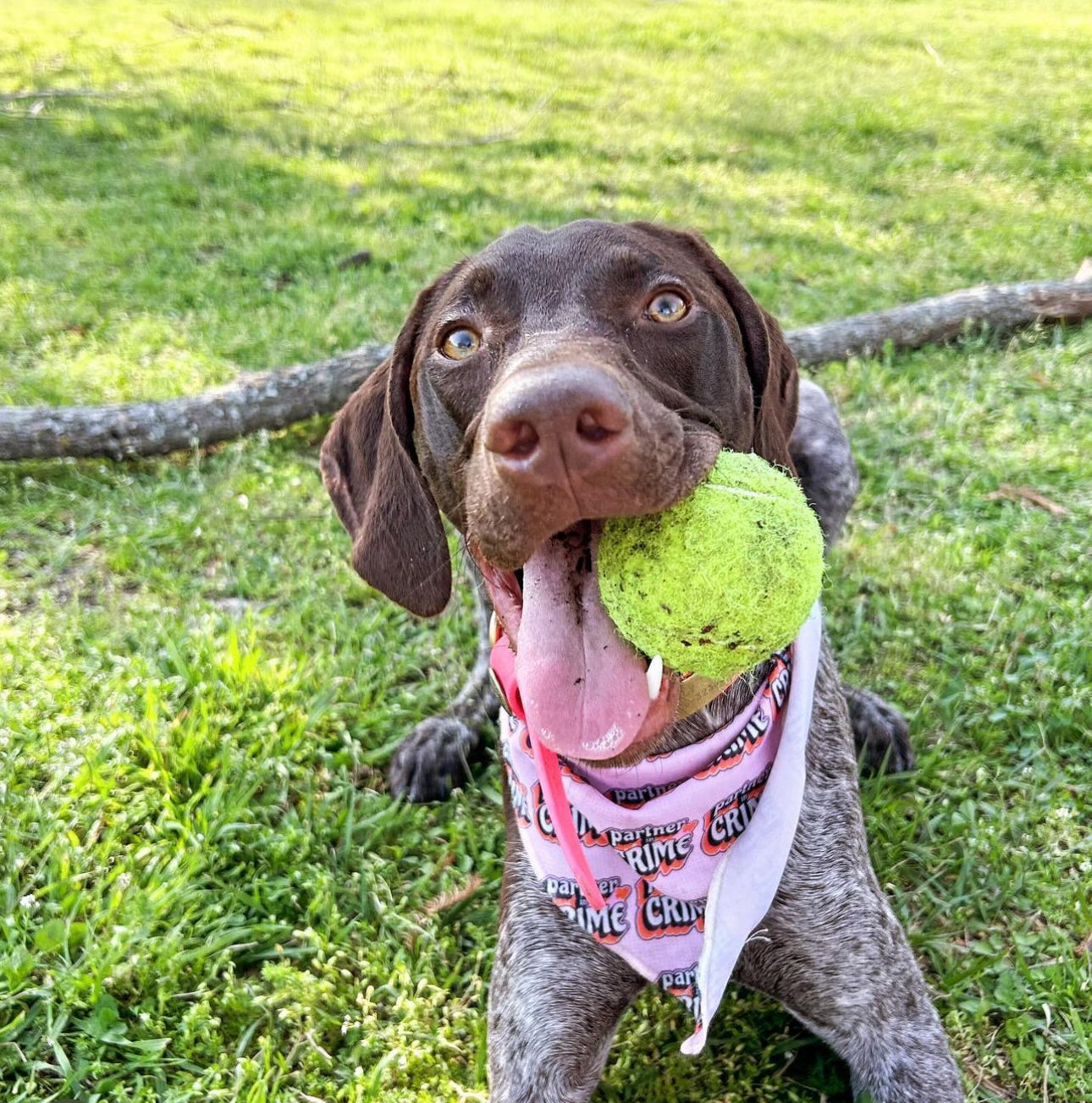 Partner in Crime Bandana