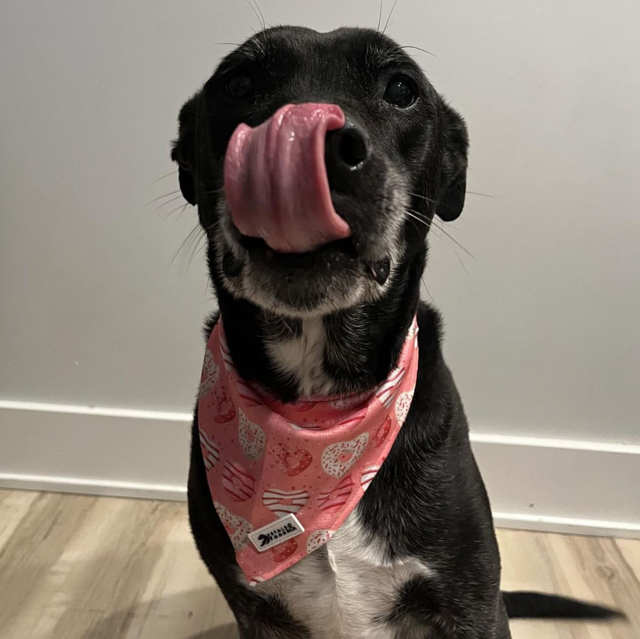 Sweet Love Bandana