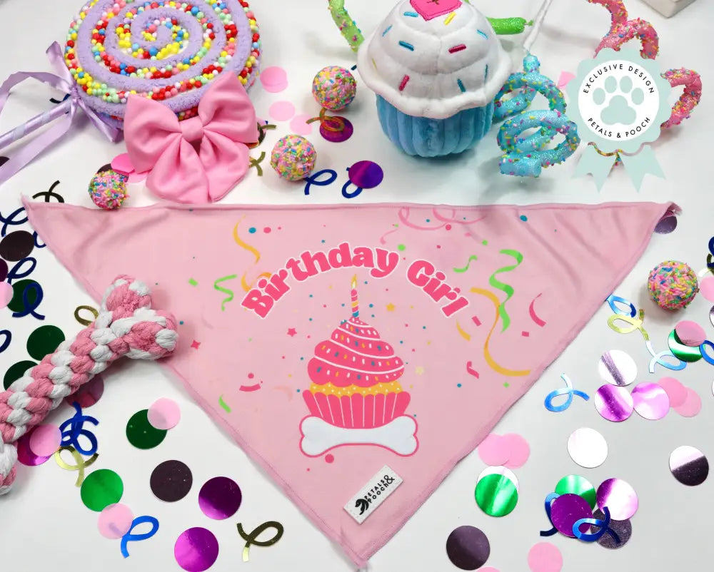 Birthday Bandana Pink / Medium 19.49 X 13.78 Bandanas