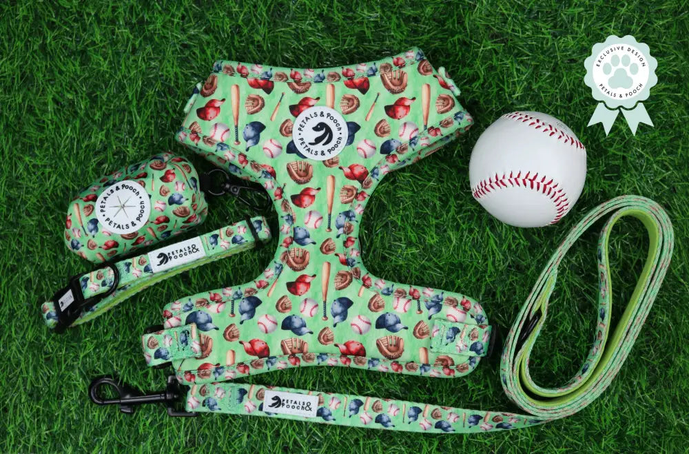 Bullpen Buddy Leash Leashes - Fabric