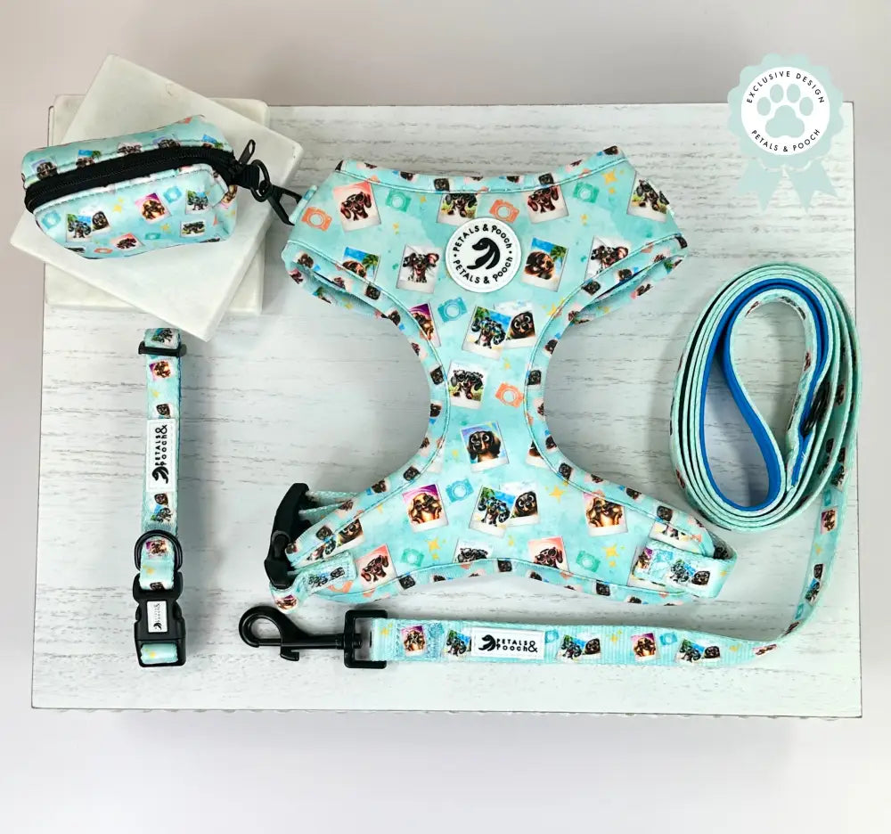 Doxie Pupparazzi Adjustable Harness