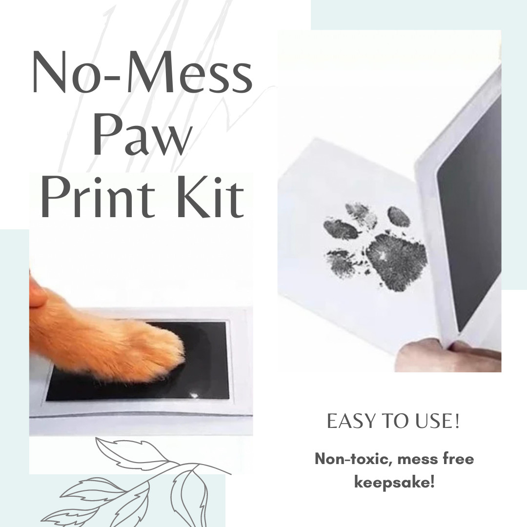 No-Mess Paw Print Kit