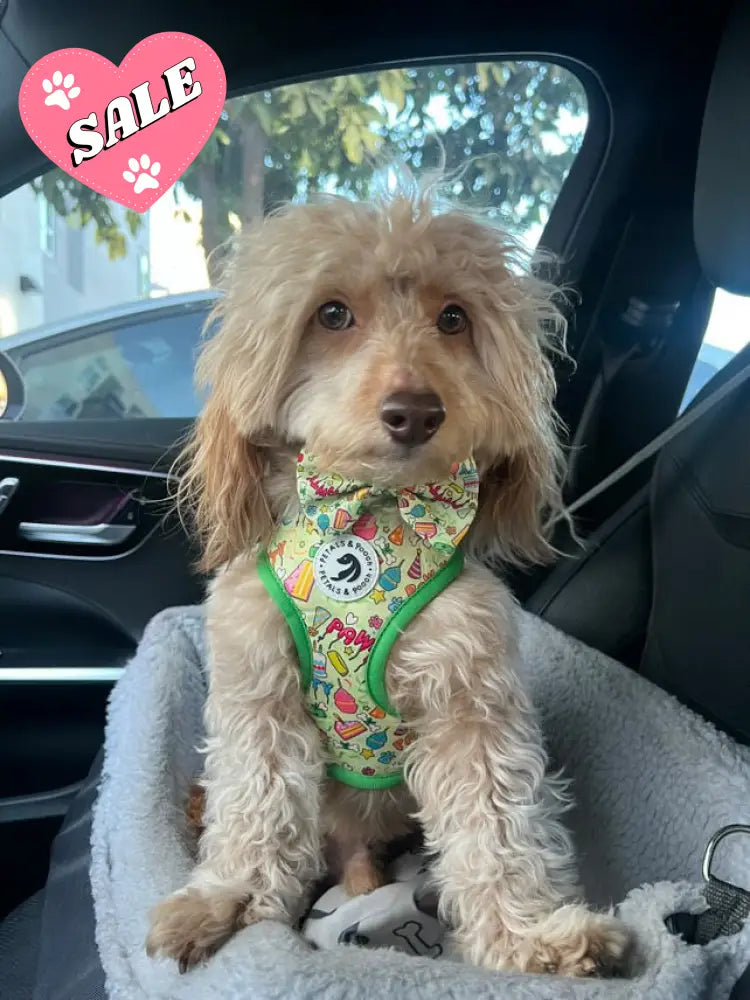 It’s My Pawty Adjustable Harness - Adjustable Harness
