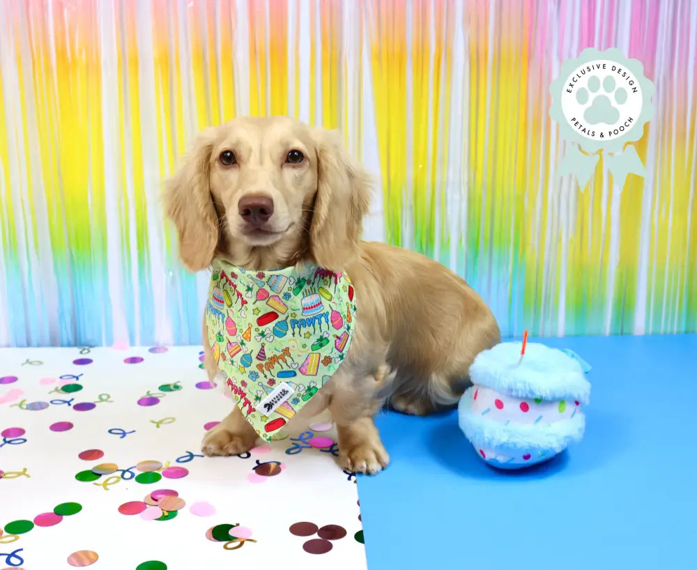 Its My Pawty Bandana Bandanas